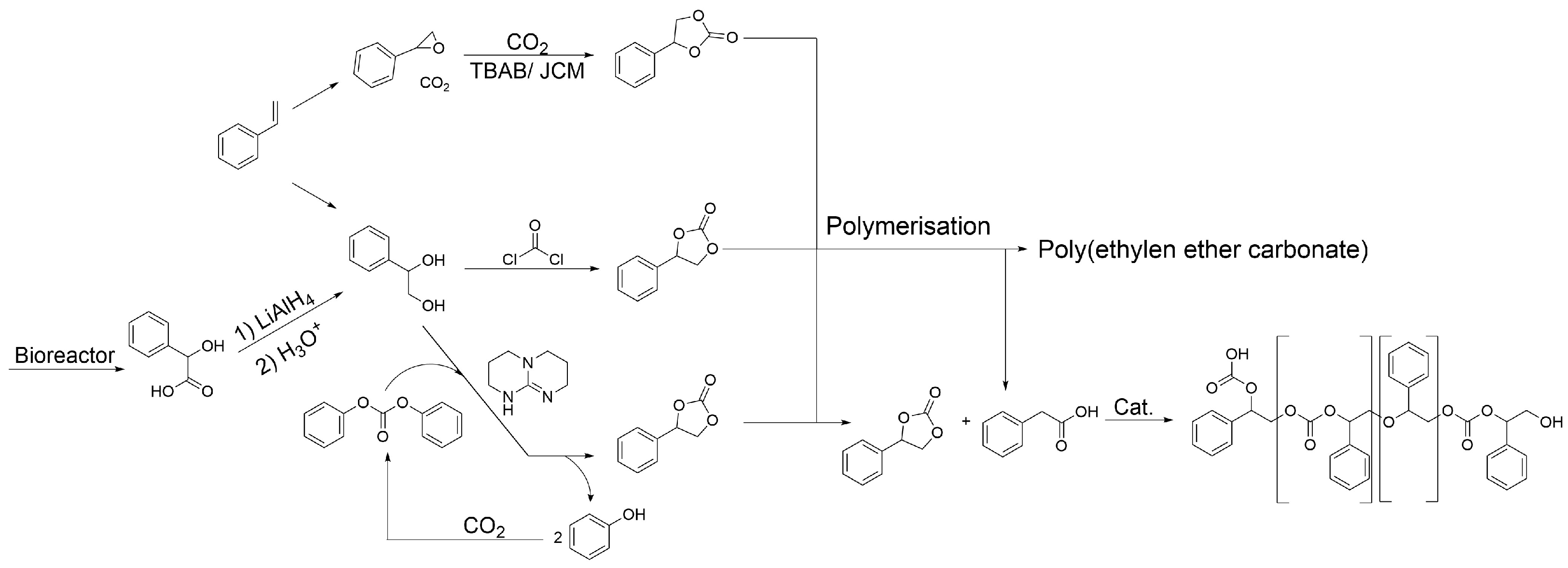Catalysts 14 00362 g002
