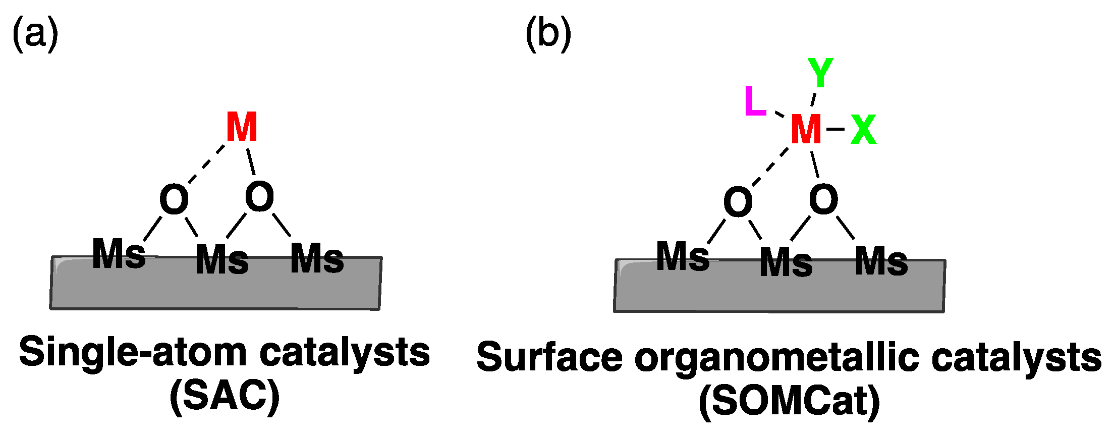 Catalysts 14 00363 sch001