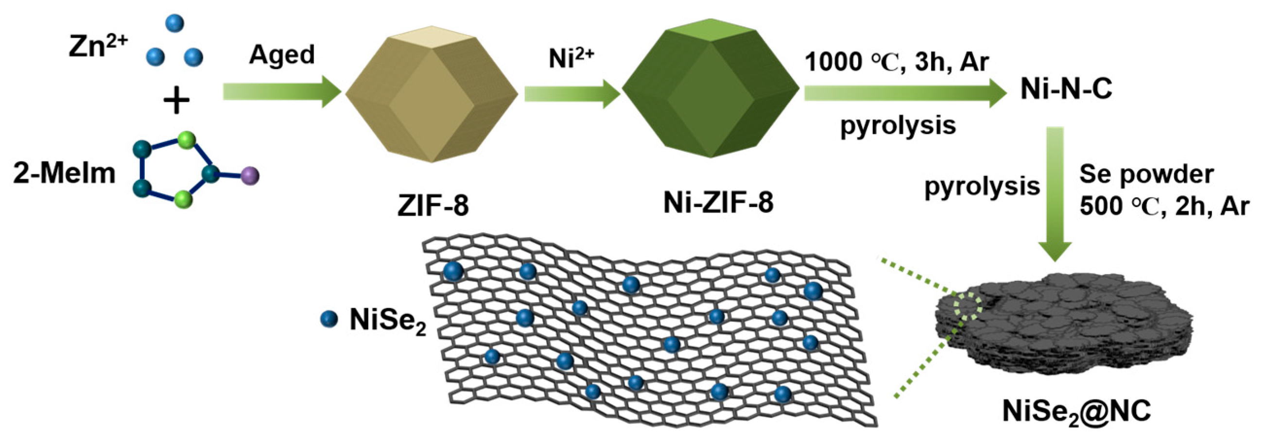 Catalysts 14 00364 g001