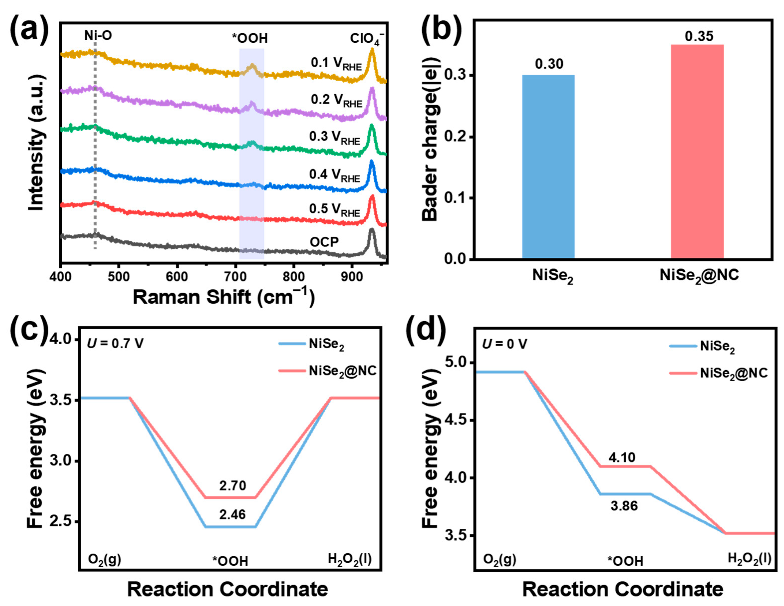 Catalysts 14 00364 g008