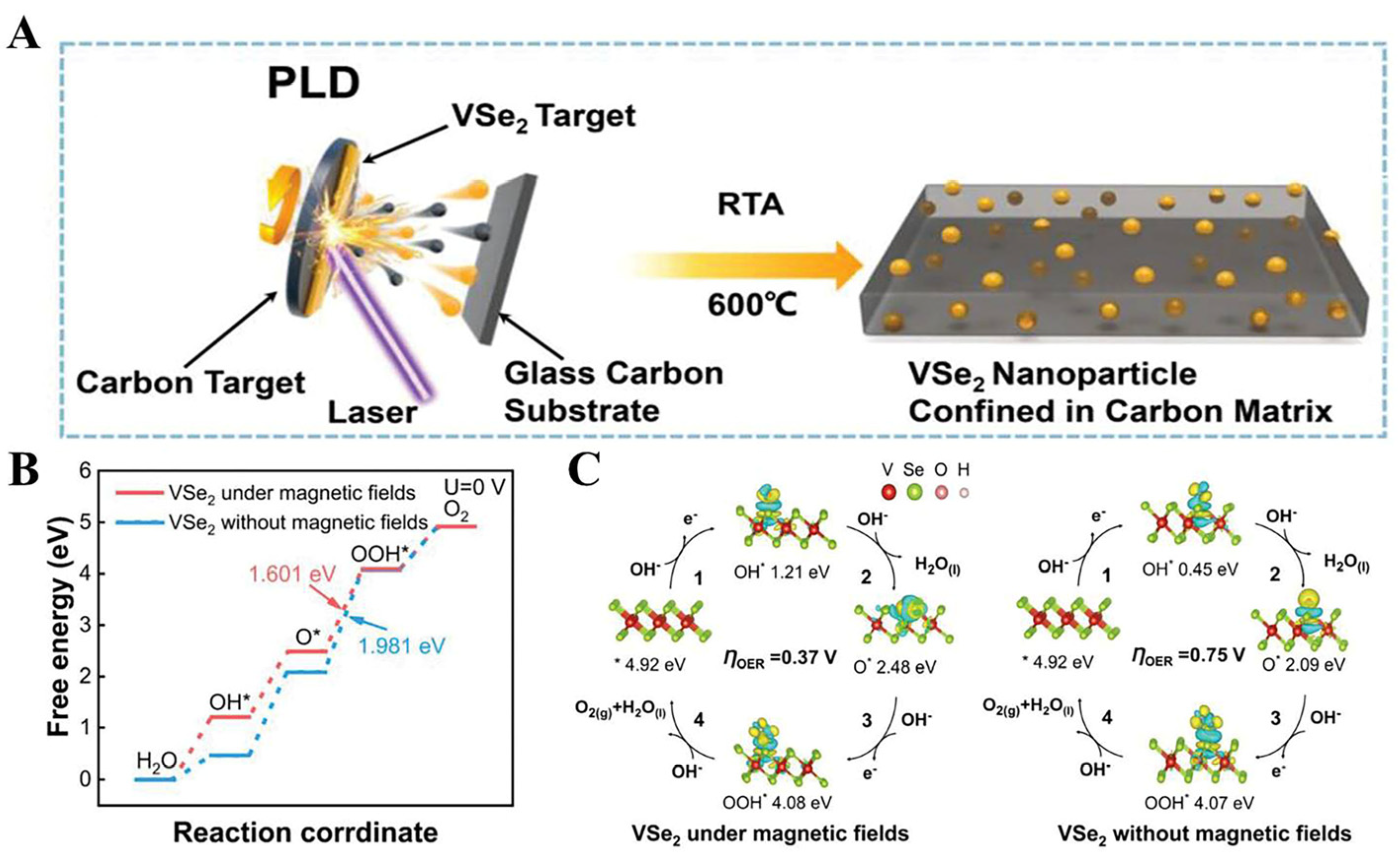 Catalysts 14 00368 g008