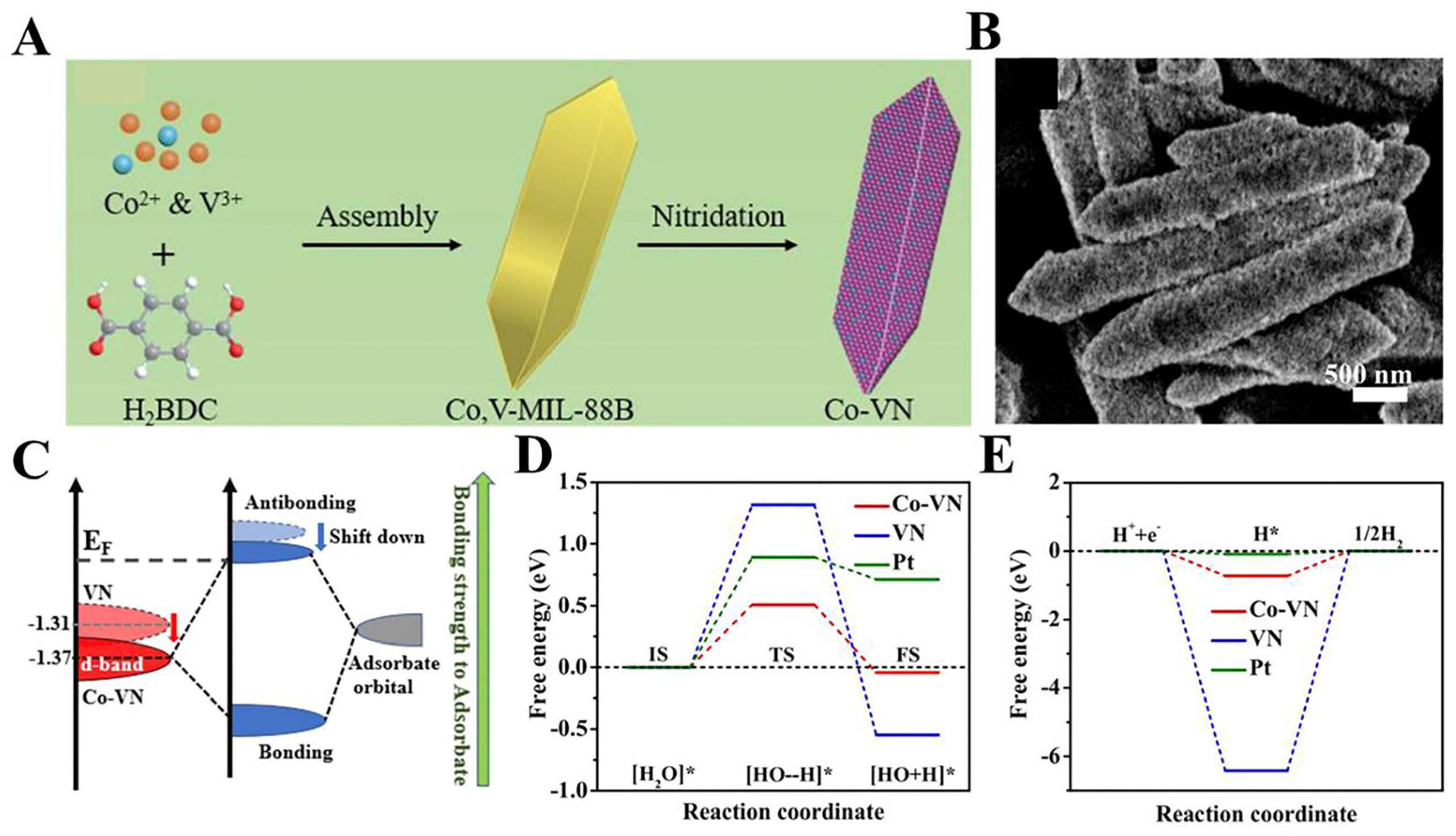 Catalysts 14 00368 g009