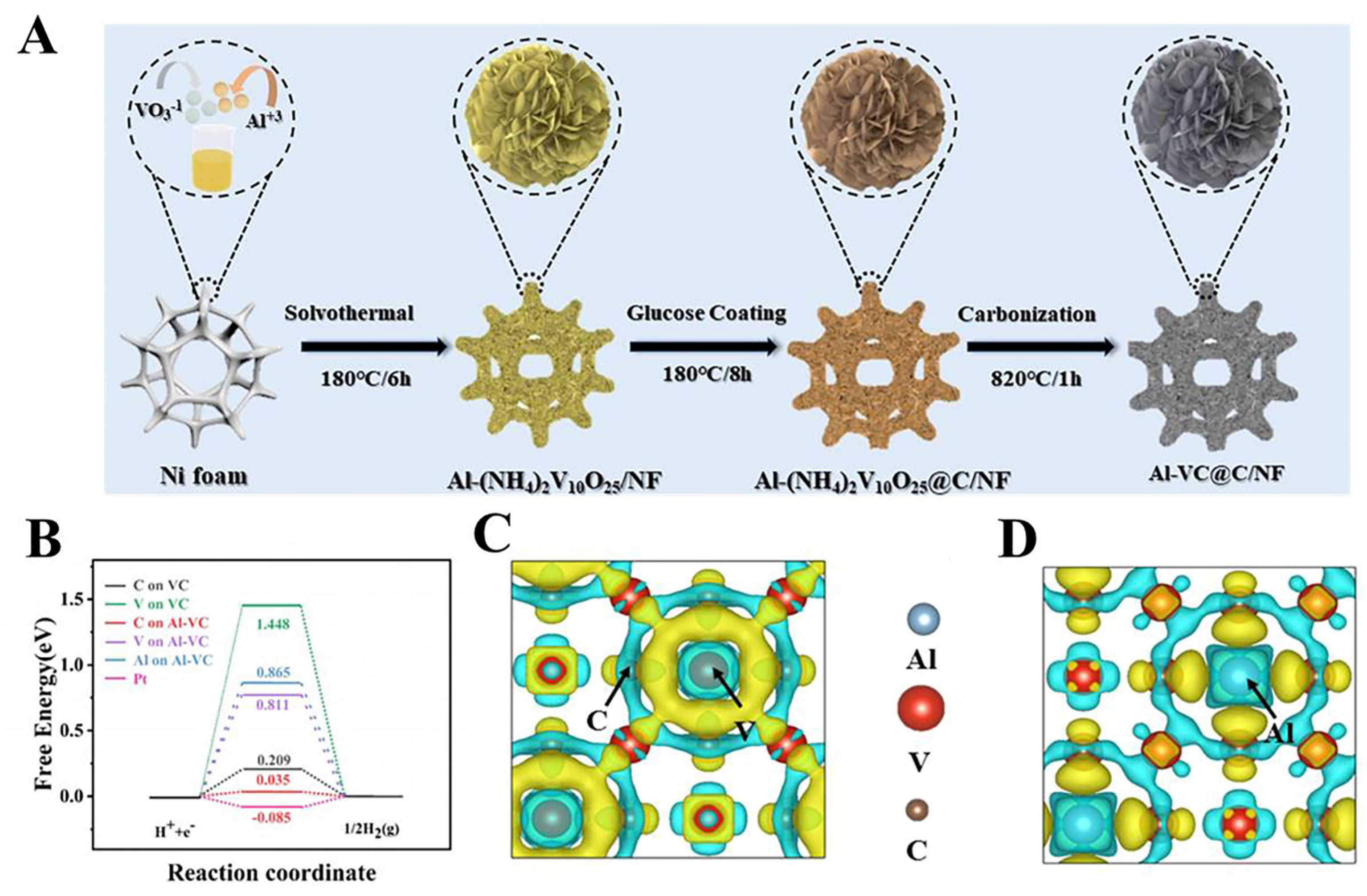 Catalysts 14 00368 g011
