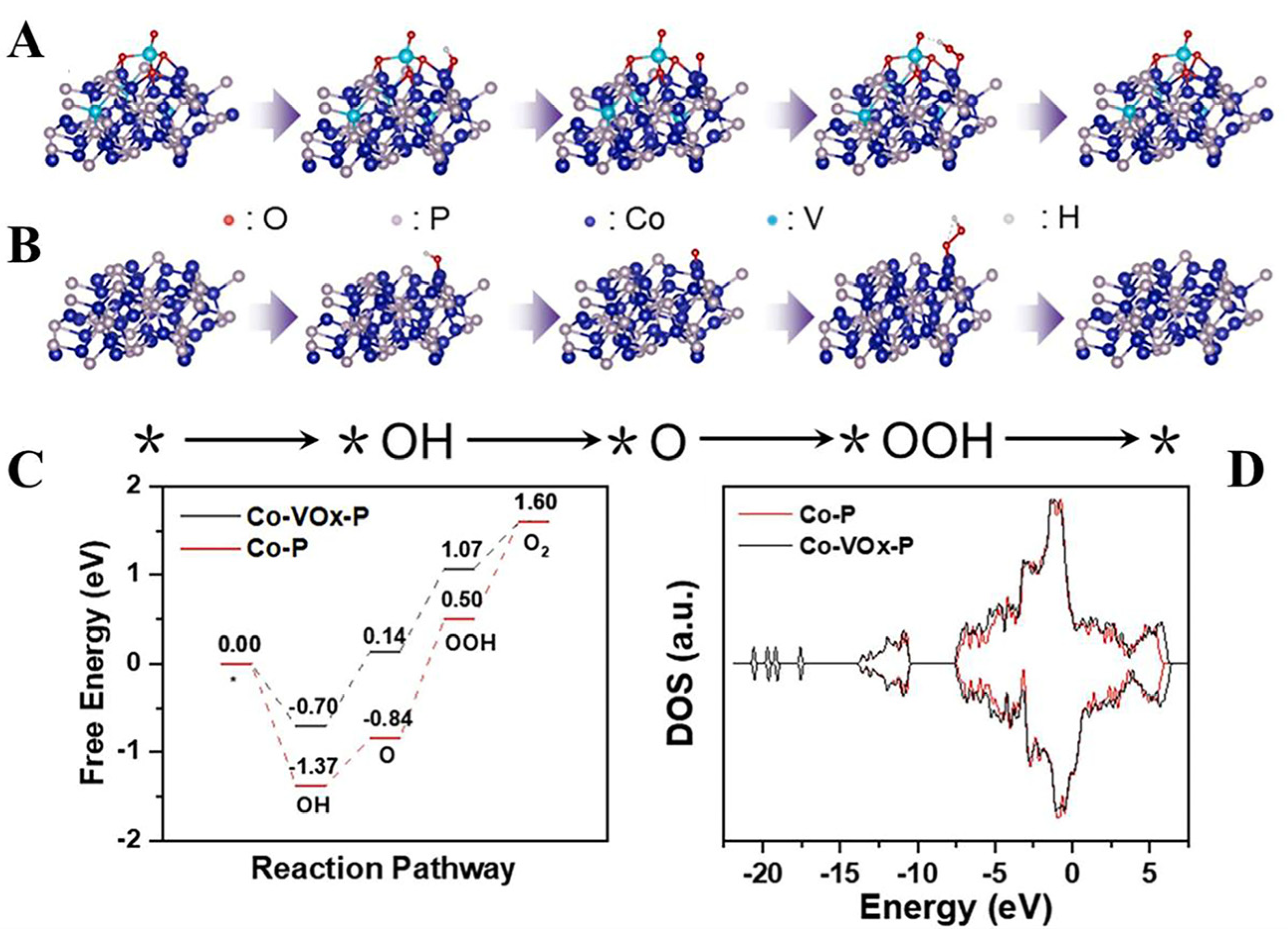 Catalysts 14 00368 g012