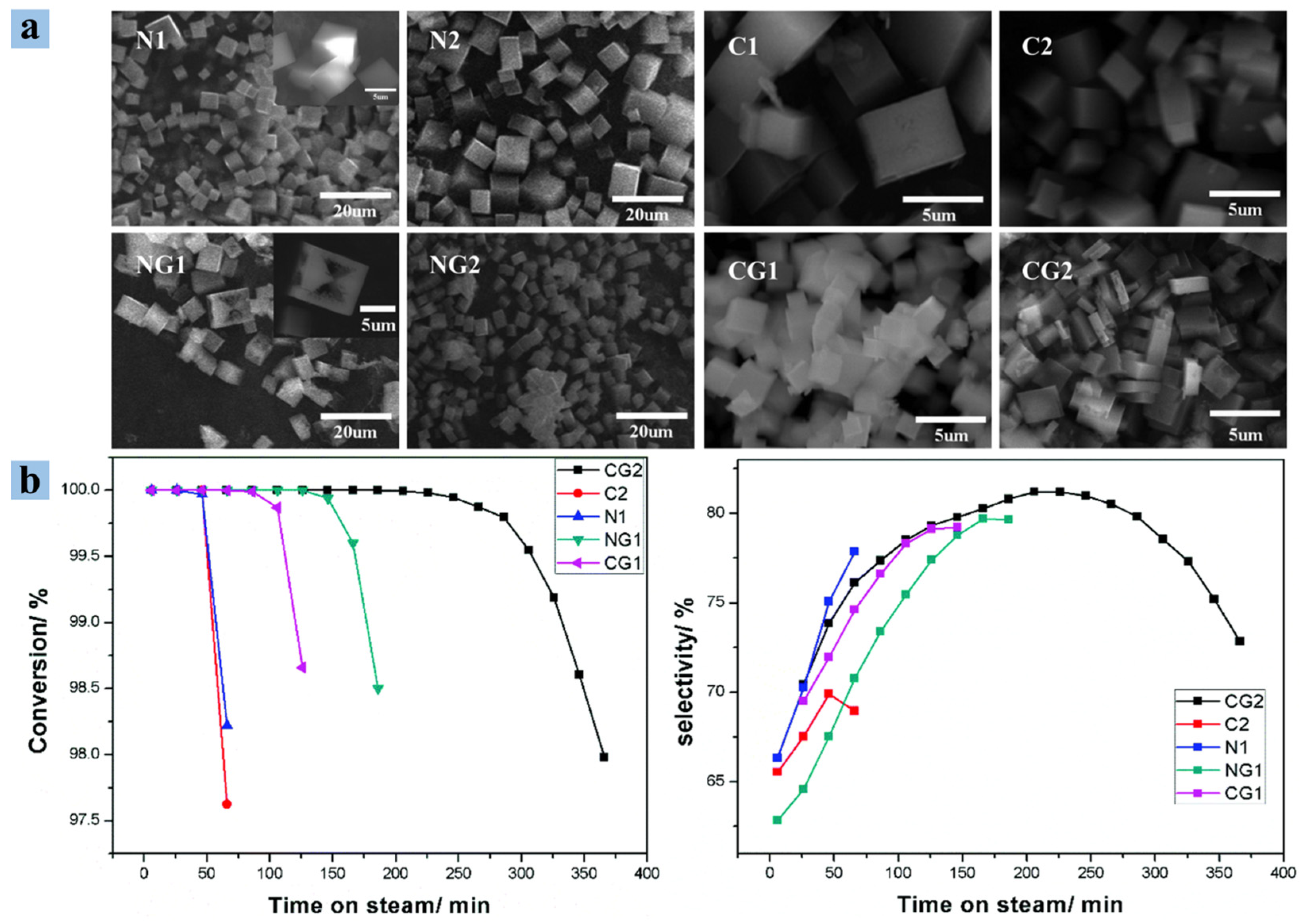 Catalysts 14 00375 g003