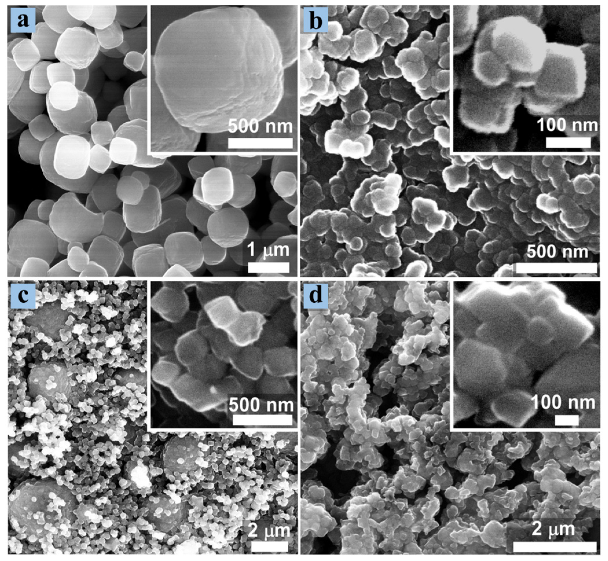 Catalysts 14 00375 g005