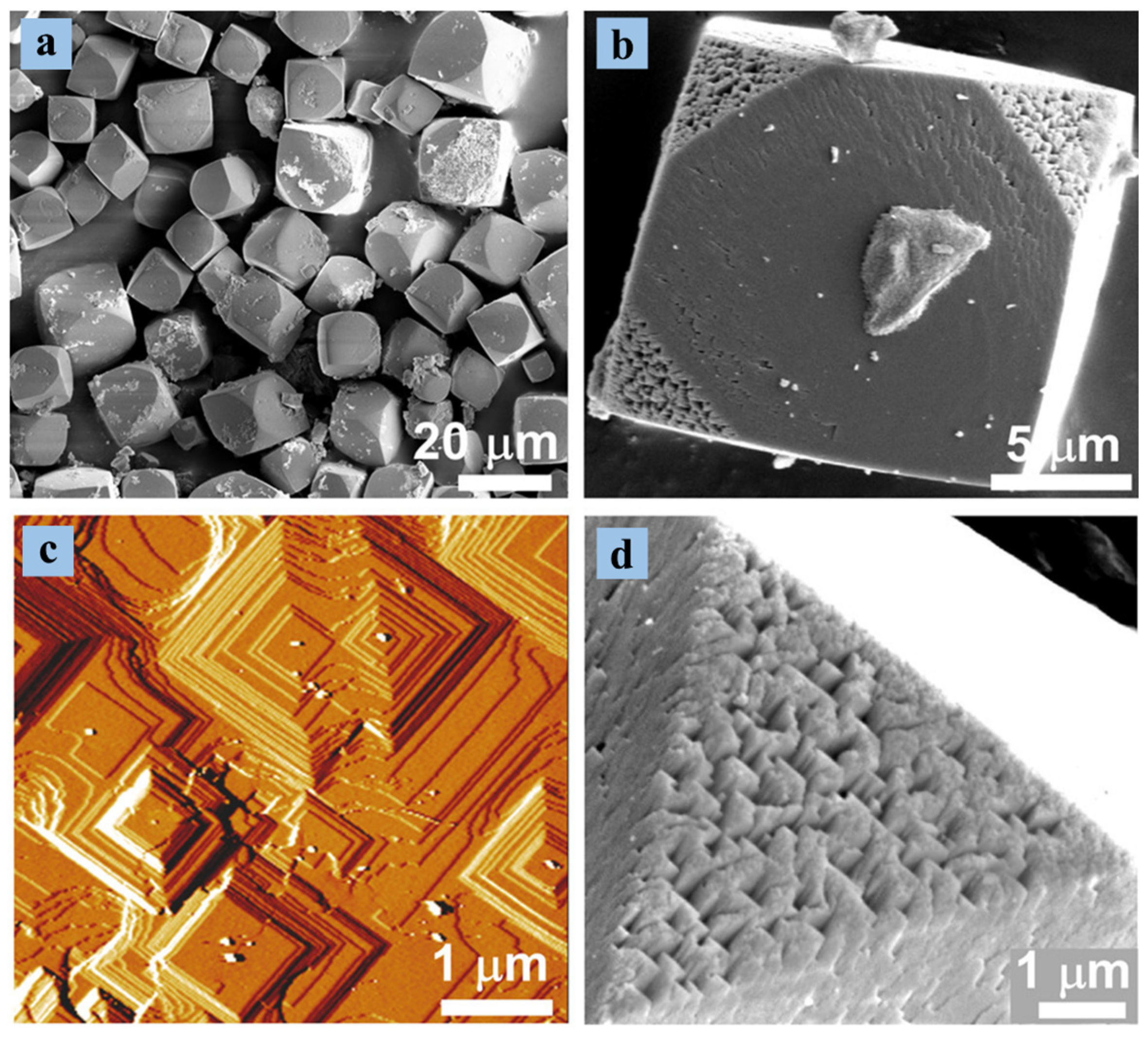 Catalysts 14 00375 g007
