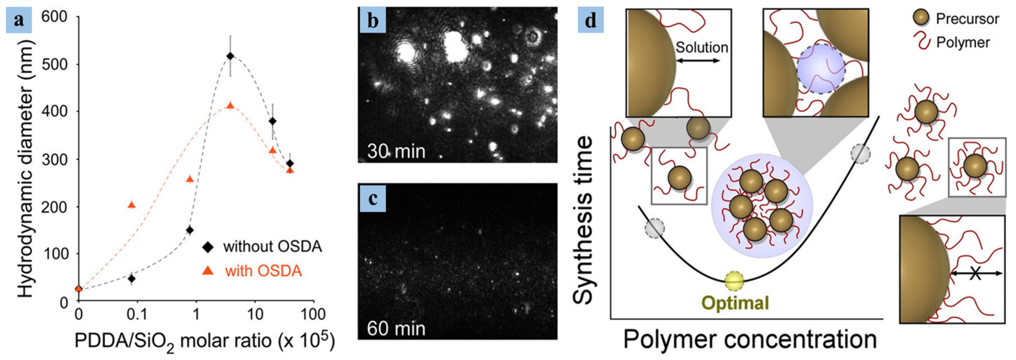 Catalysts 14 00375 g008