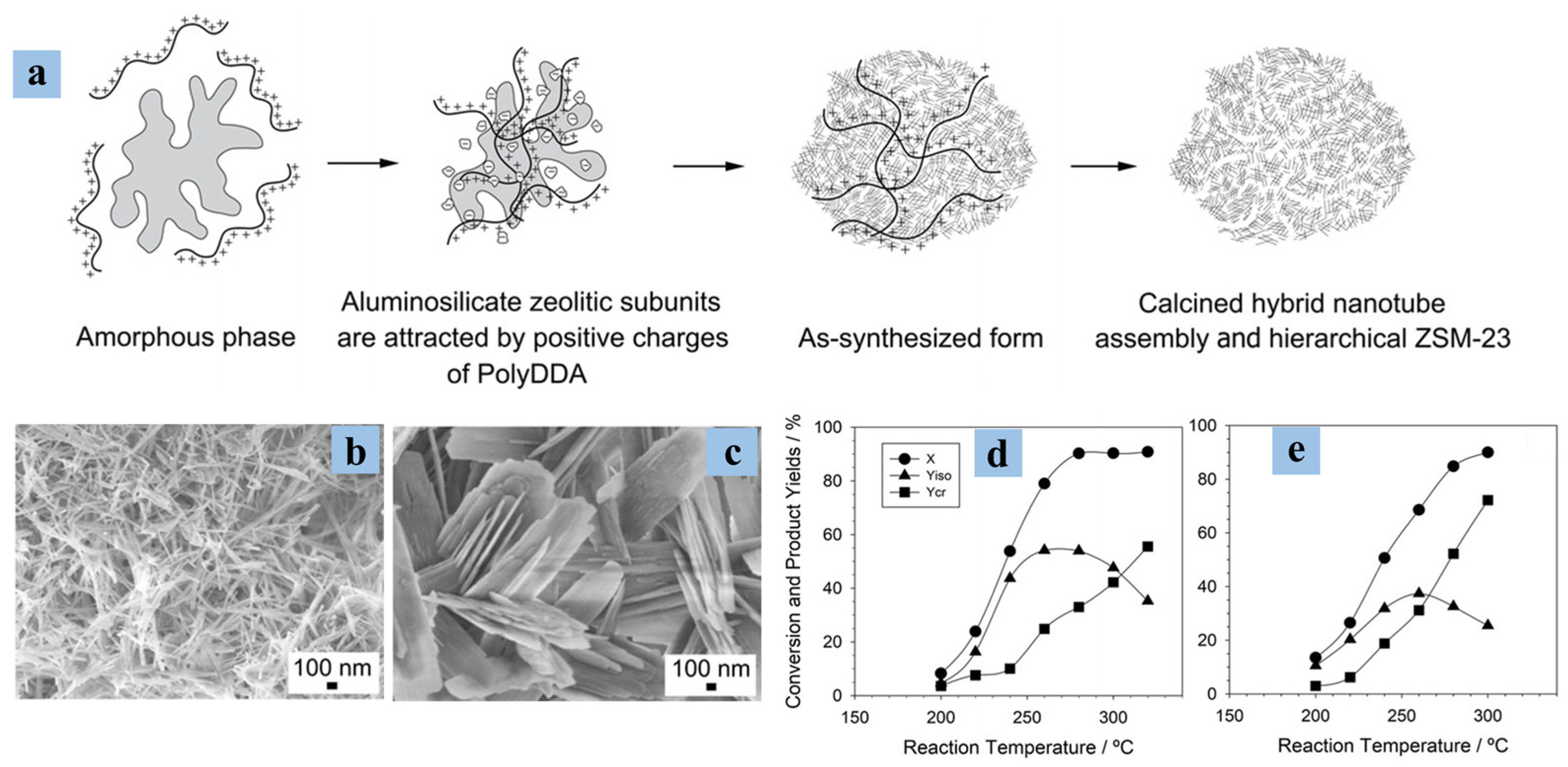 Catalysts 14 00375 g009