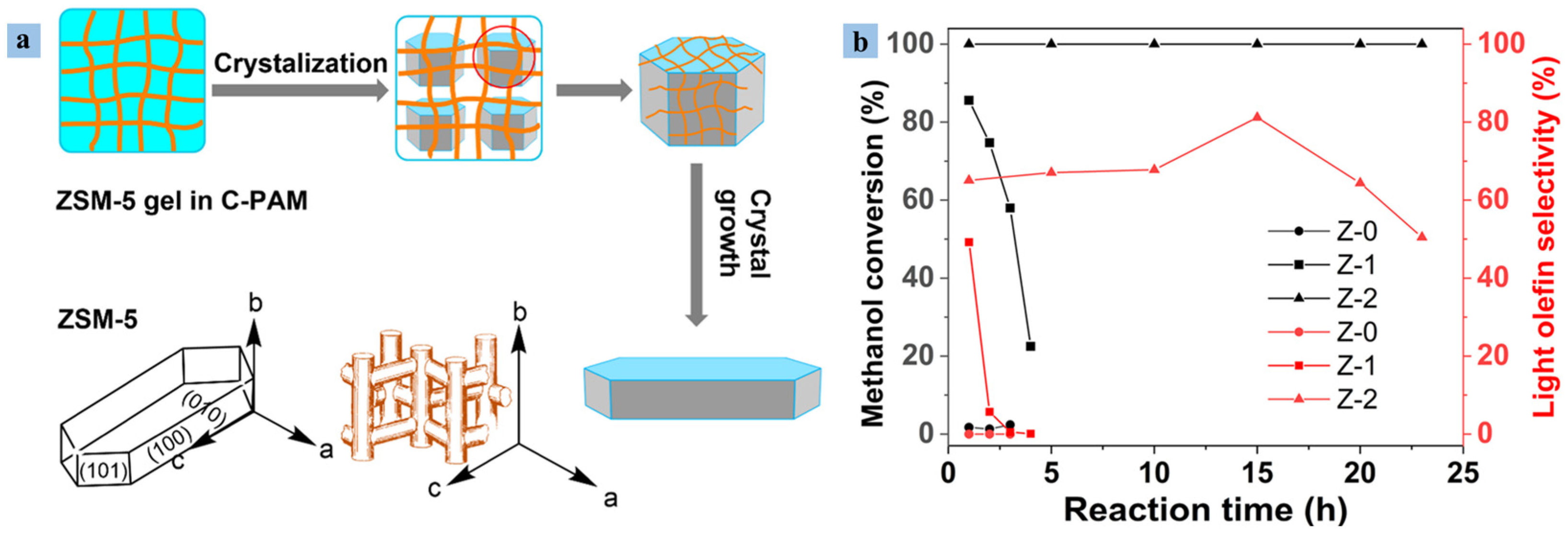 Catalysts 14 00375 g011