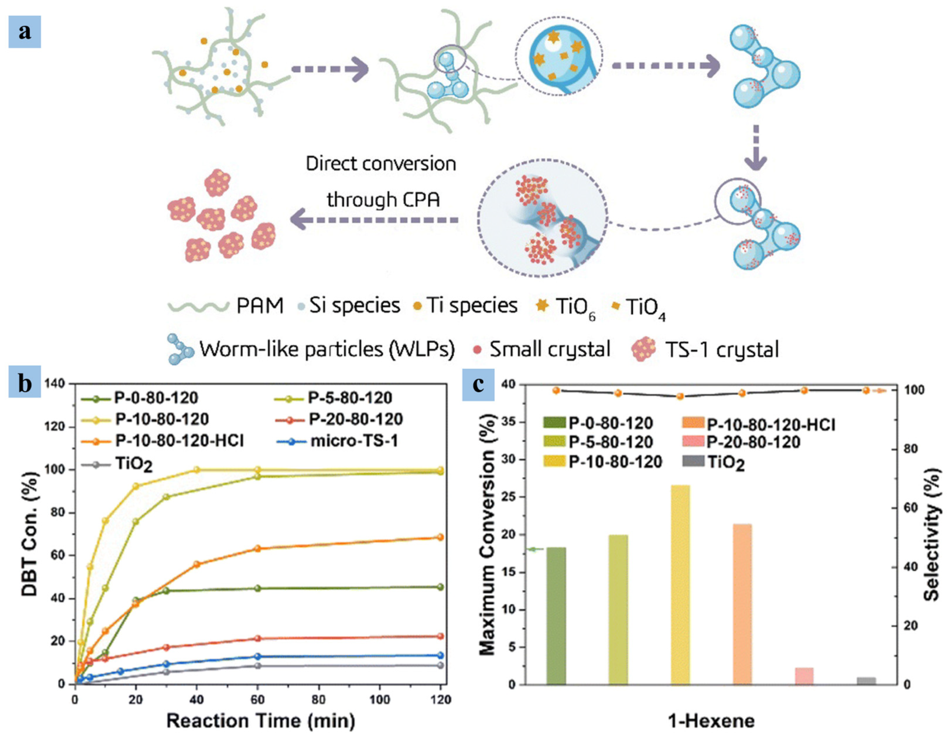 Catalysts 14 00375 g012