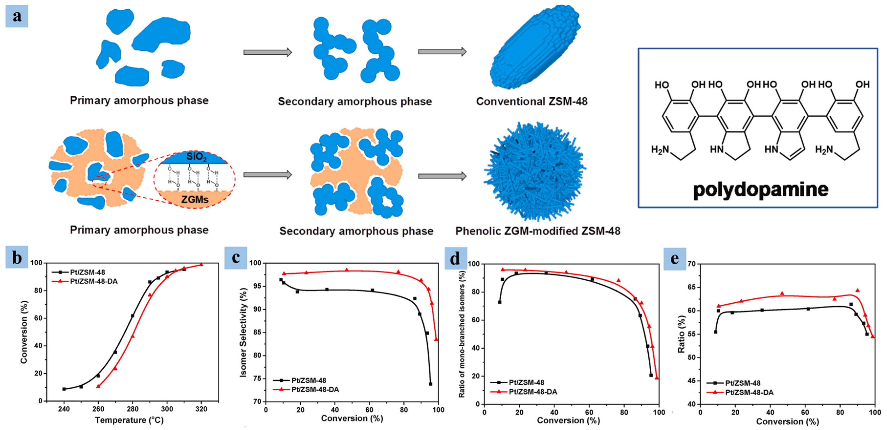 Catalysts 14 00375 g014