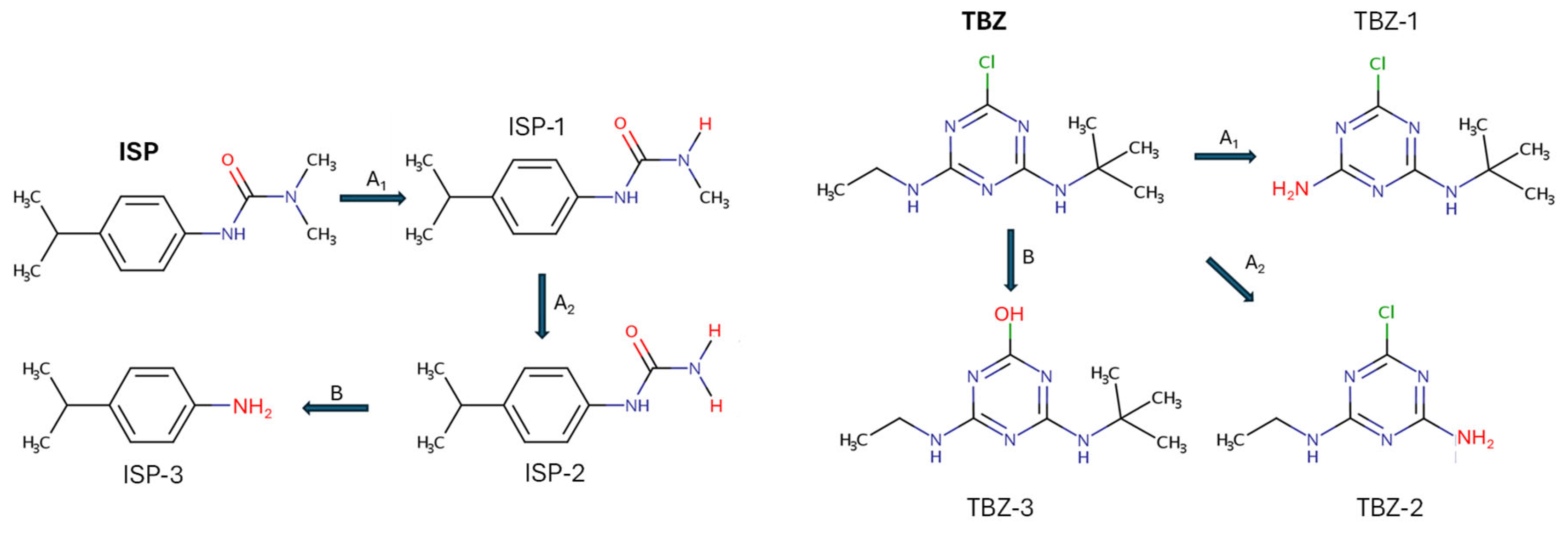 Catalysts 14 00376 g006