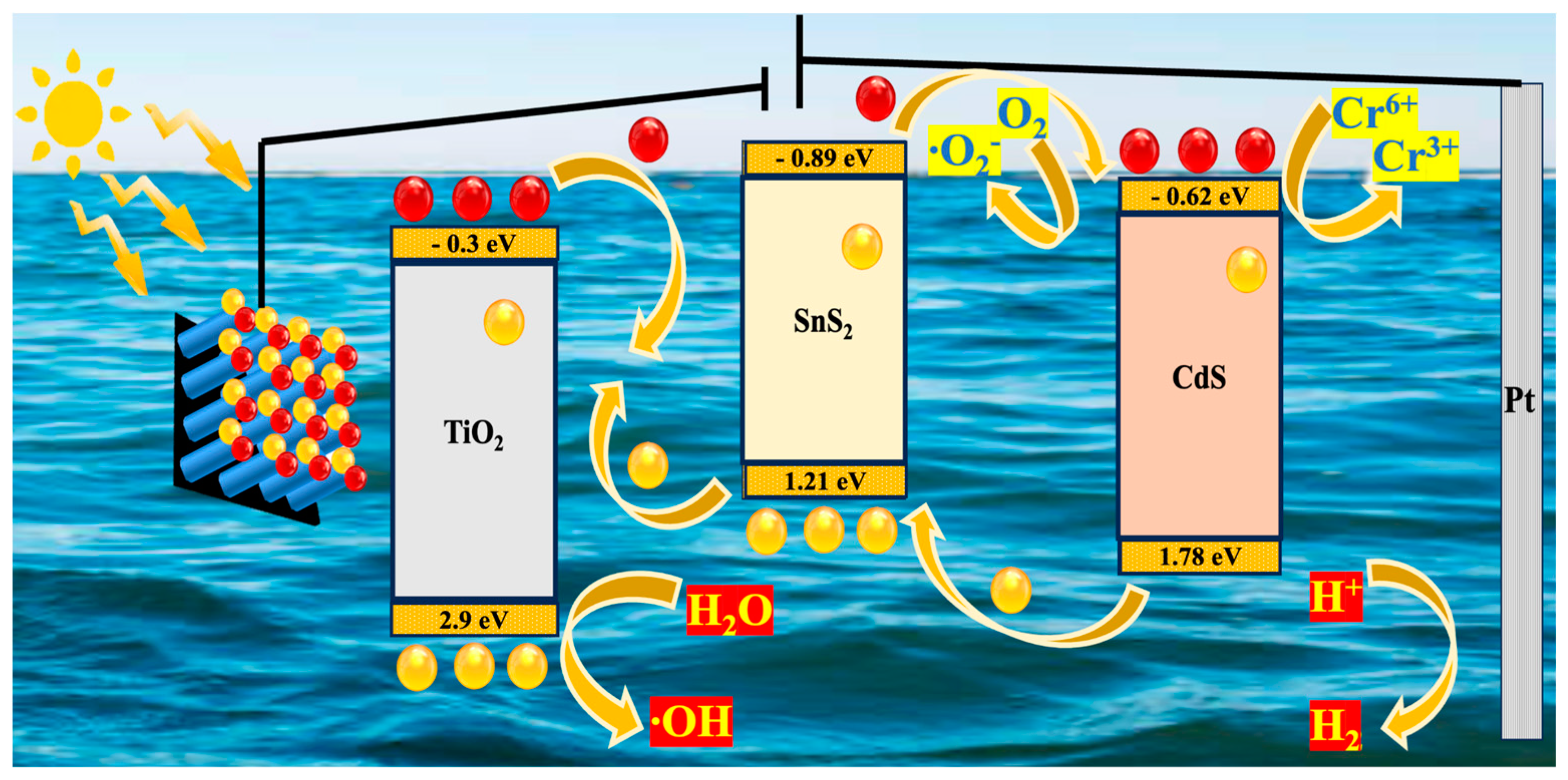 Catalysts 14 00378 g004