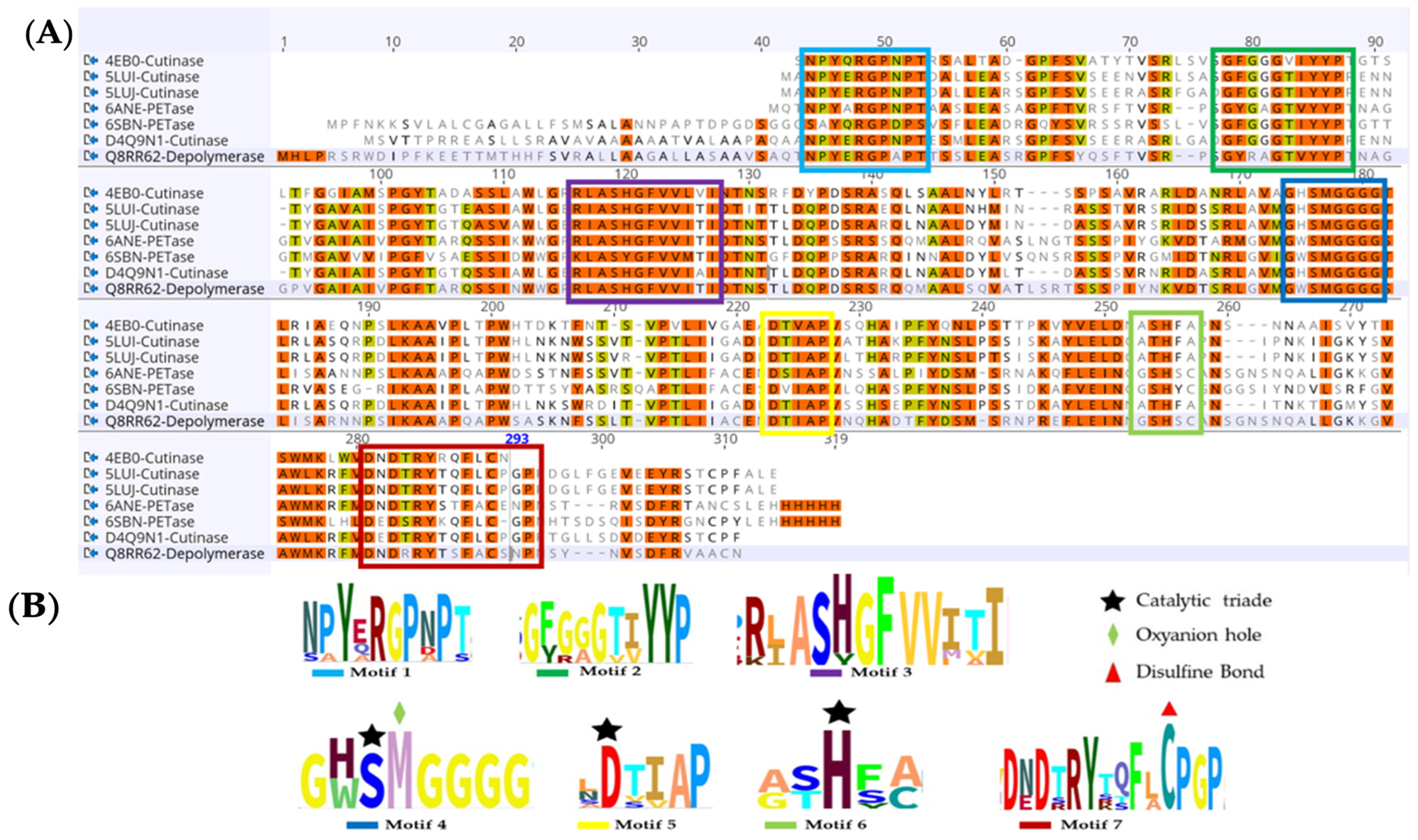 Catalysts 14 00379 g001