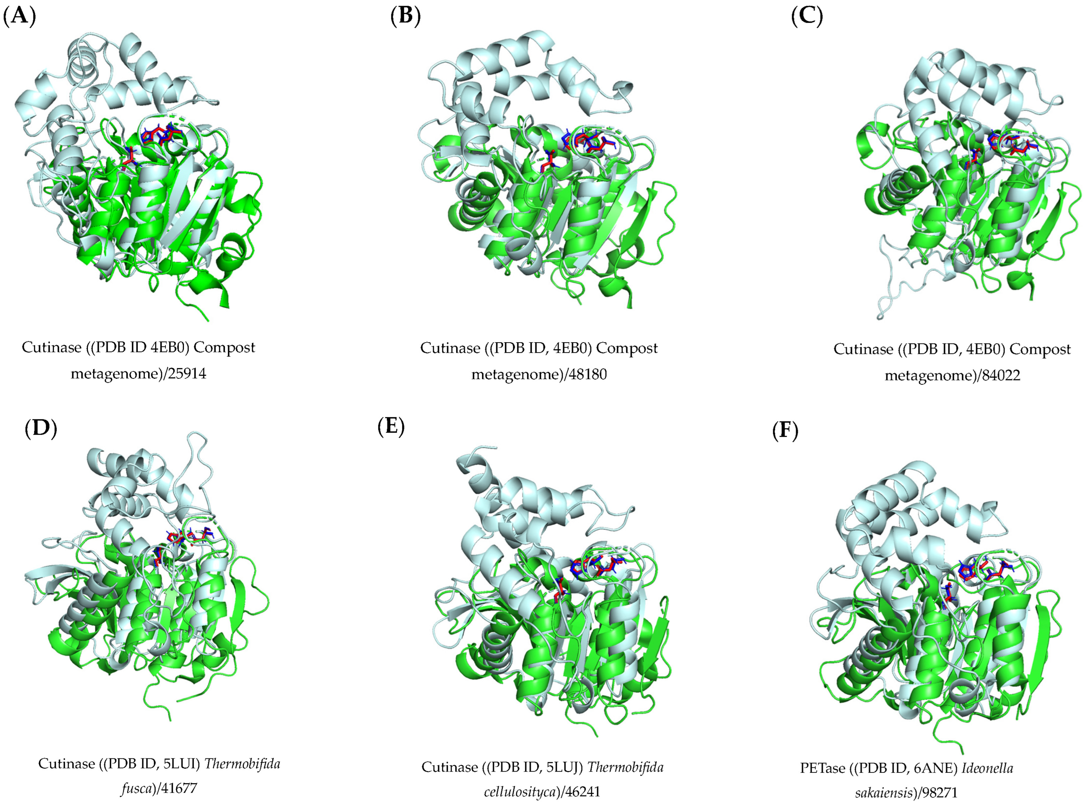 Catalysts 14 00379 g002
