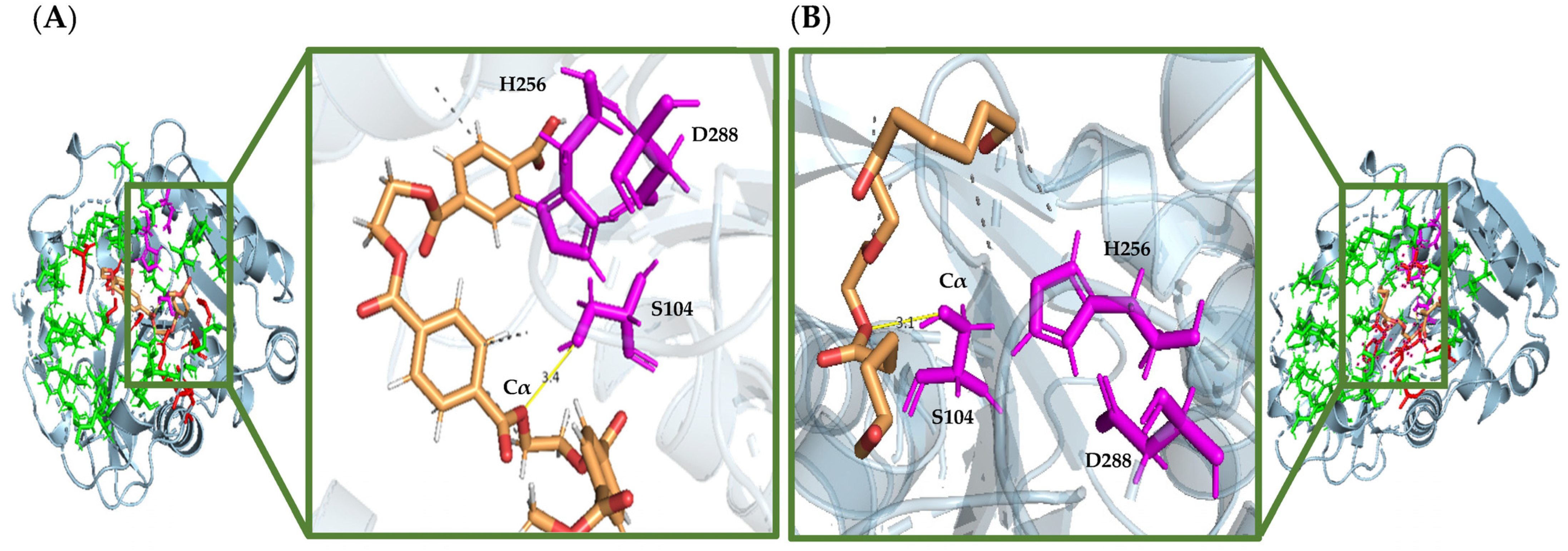 Catalysts 14 00379 g005
