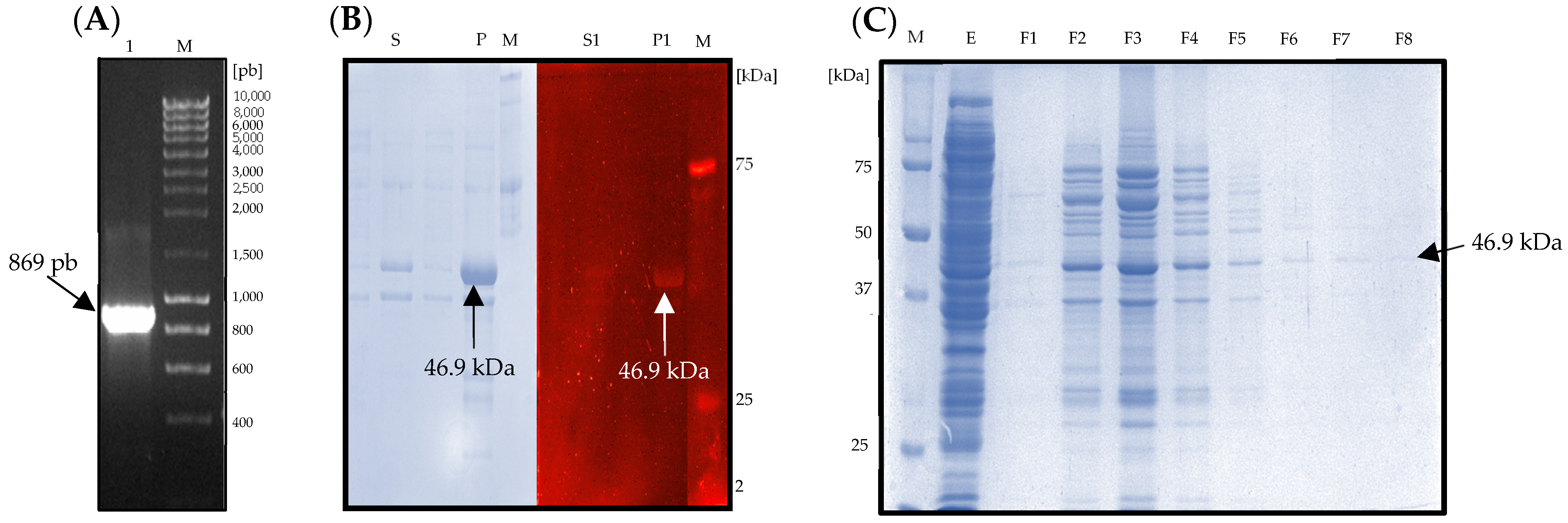 Catalysts 14 00379 g006