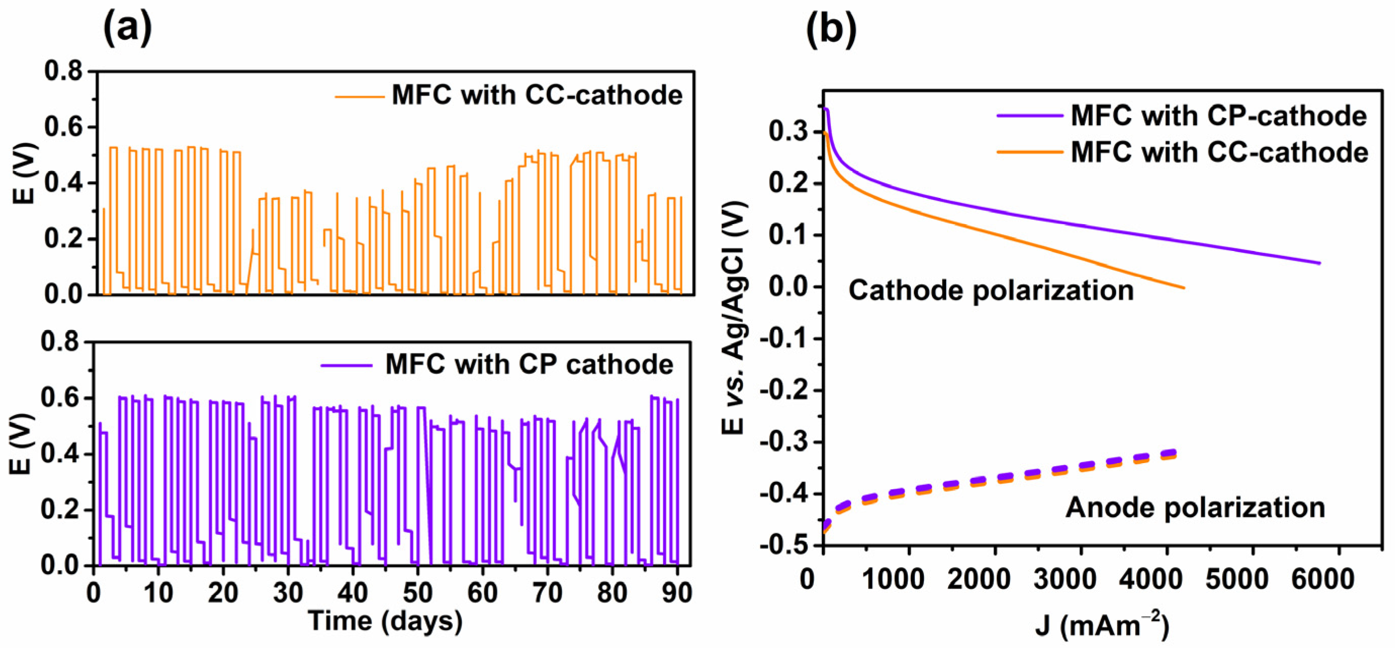 Catalysts 14 00385 g003