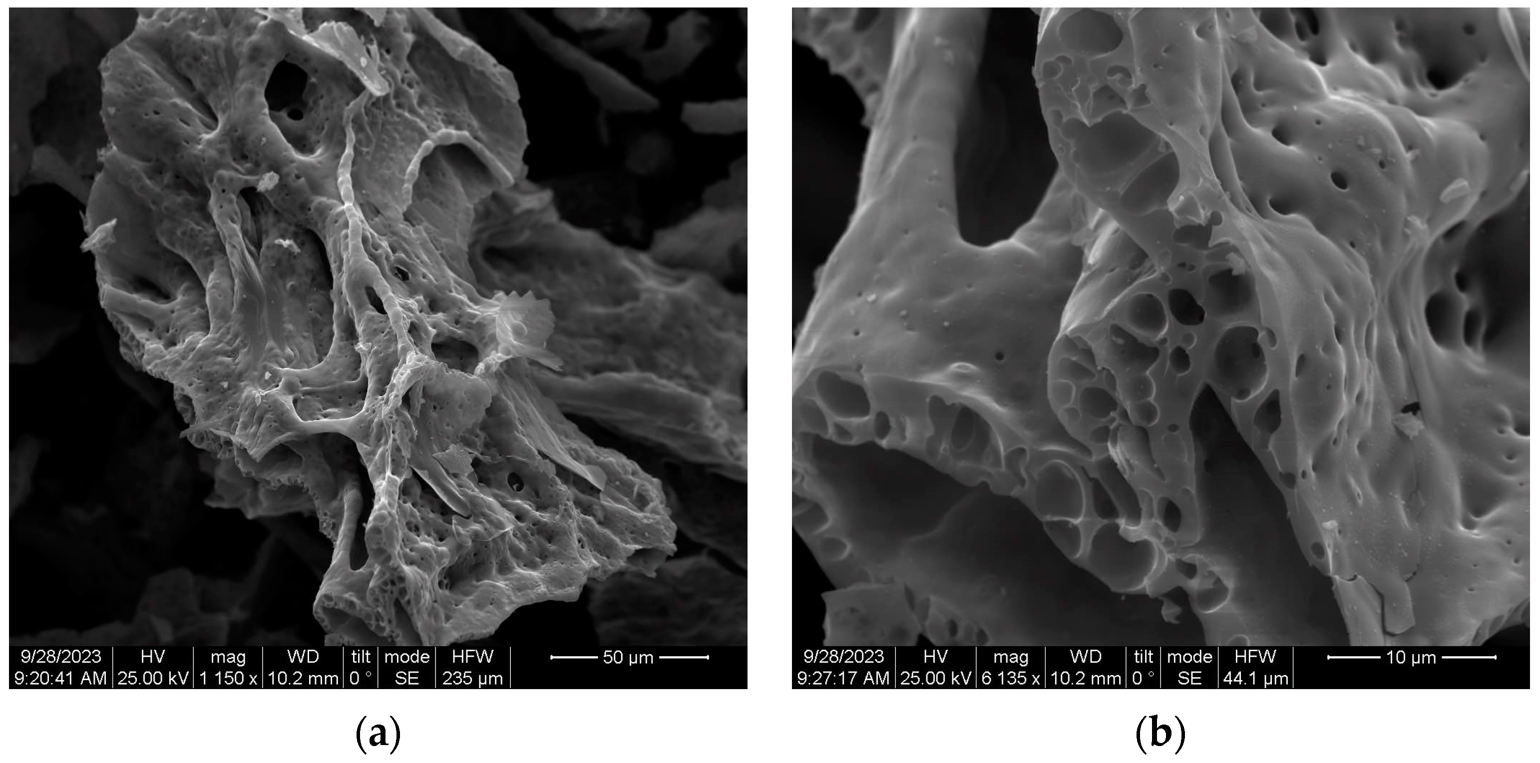 Catalysts 14 00386 g005