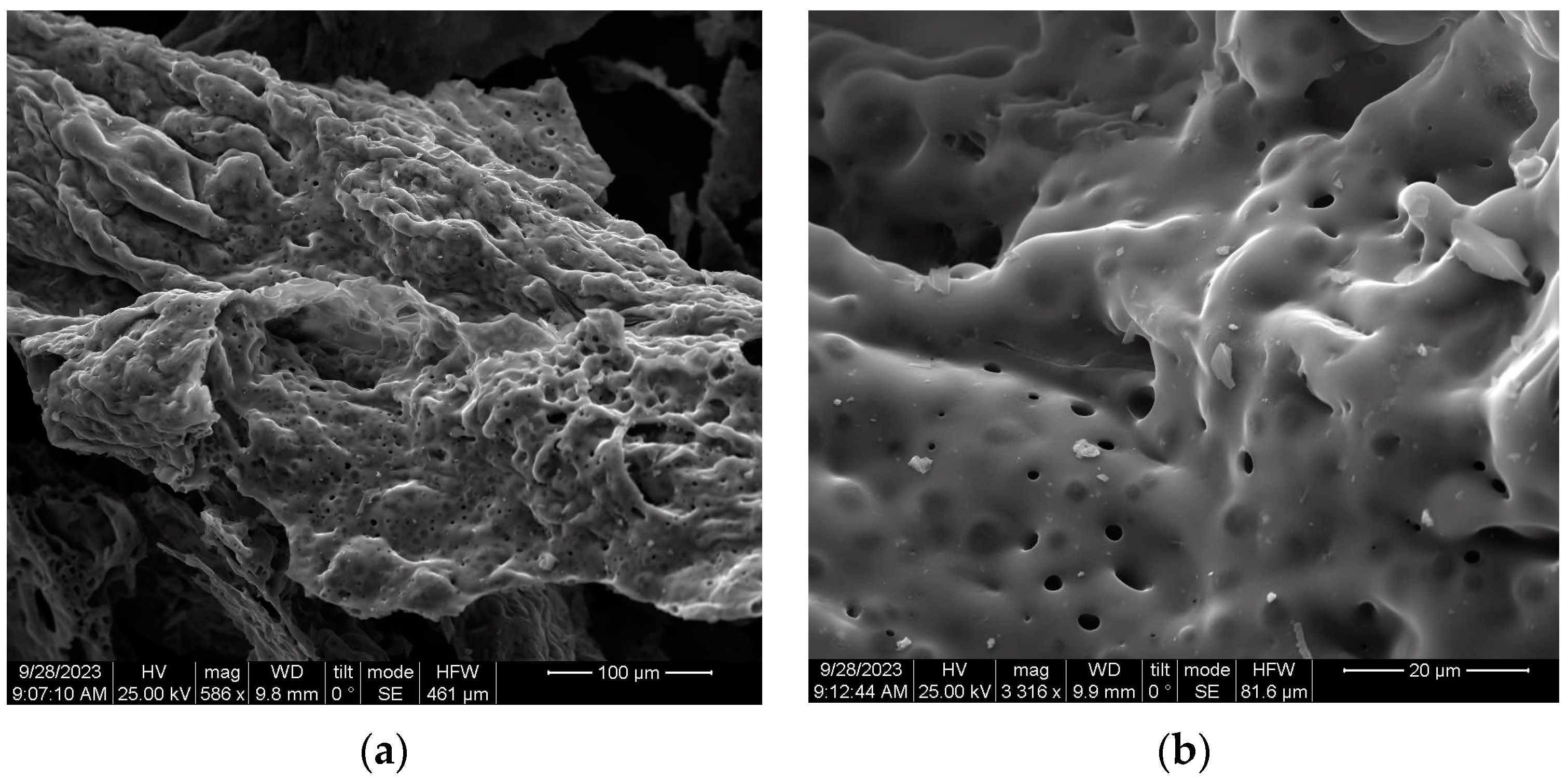 Catalysts 14 00386 g007