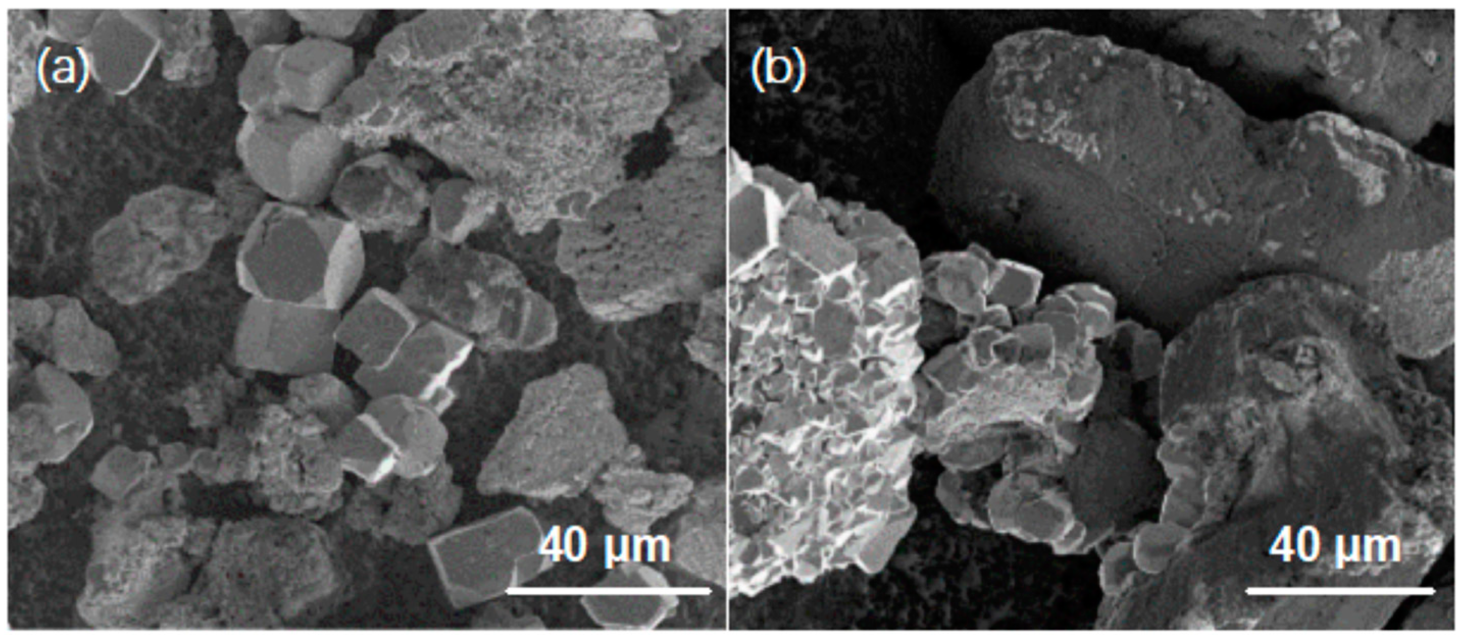 Catalysts 14 00391 g010 Catalysts 14 00391 g010