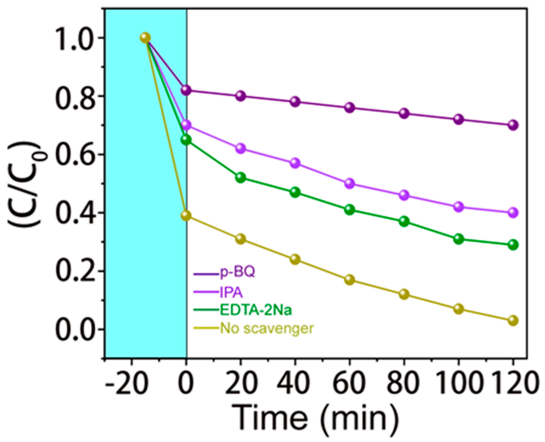 Catalysts 14 00393 g010