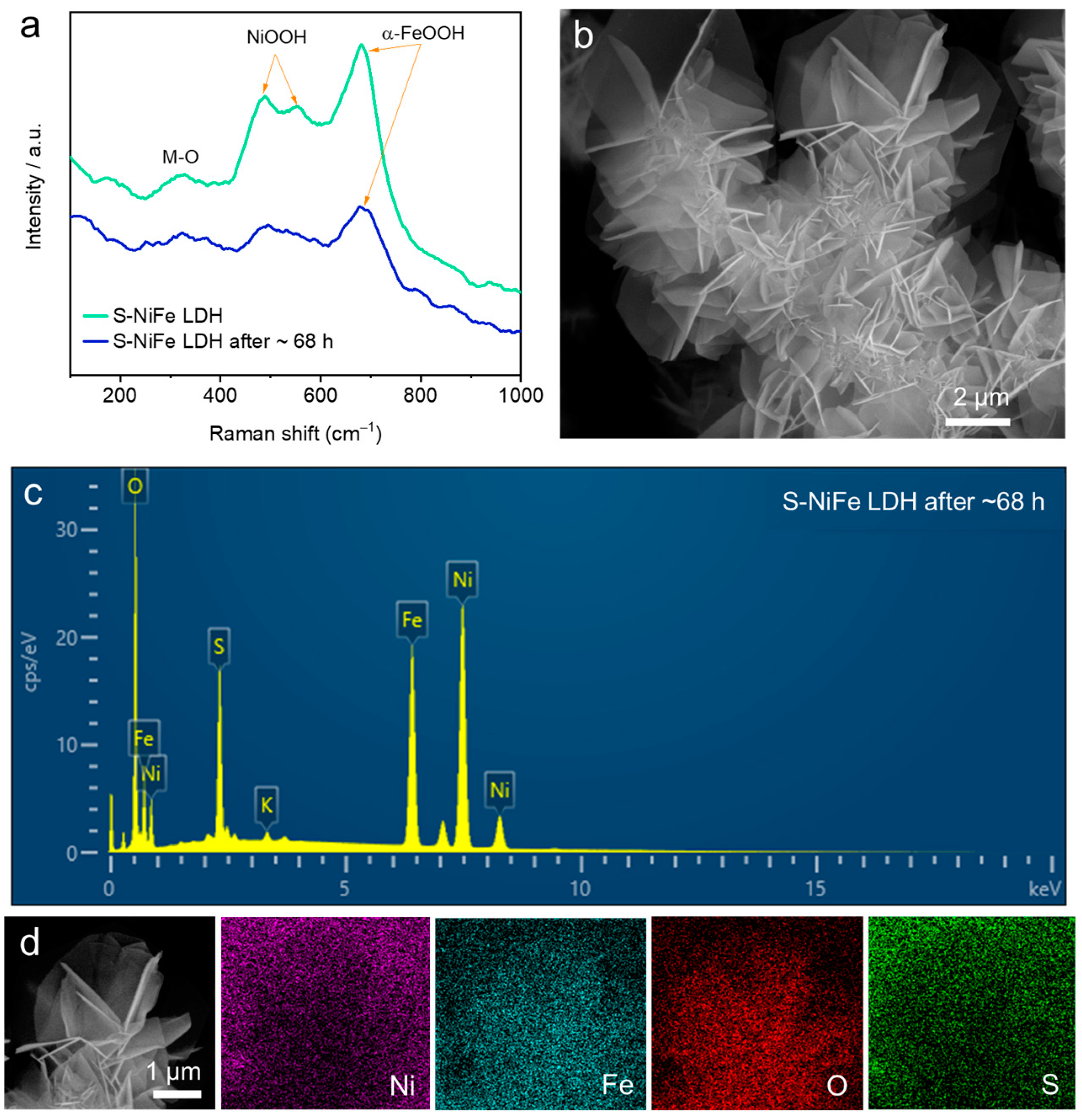 Catalysts 14 00394 g006