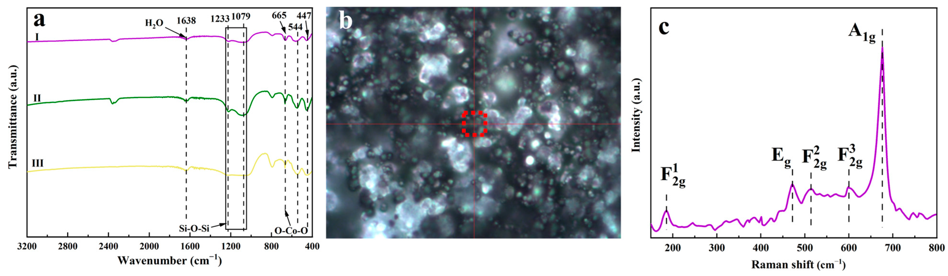 Catalysts 14 00397 g003