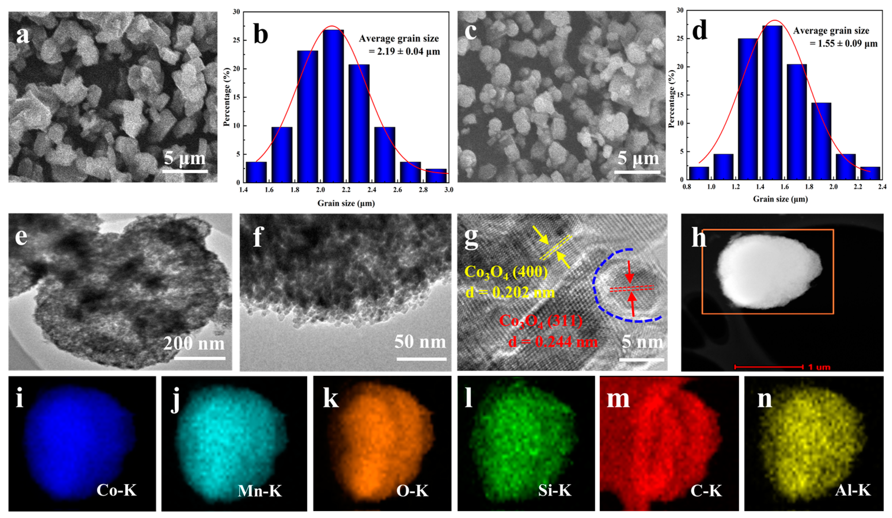 Catalysts 14 00397 g005