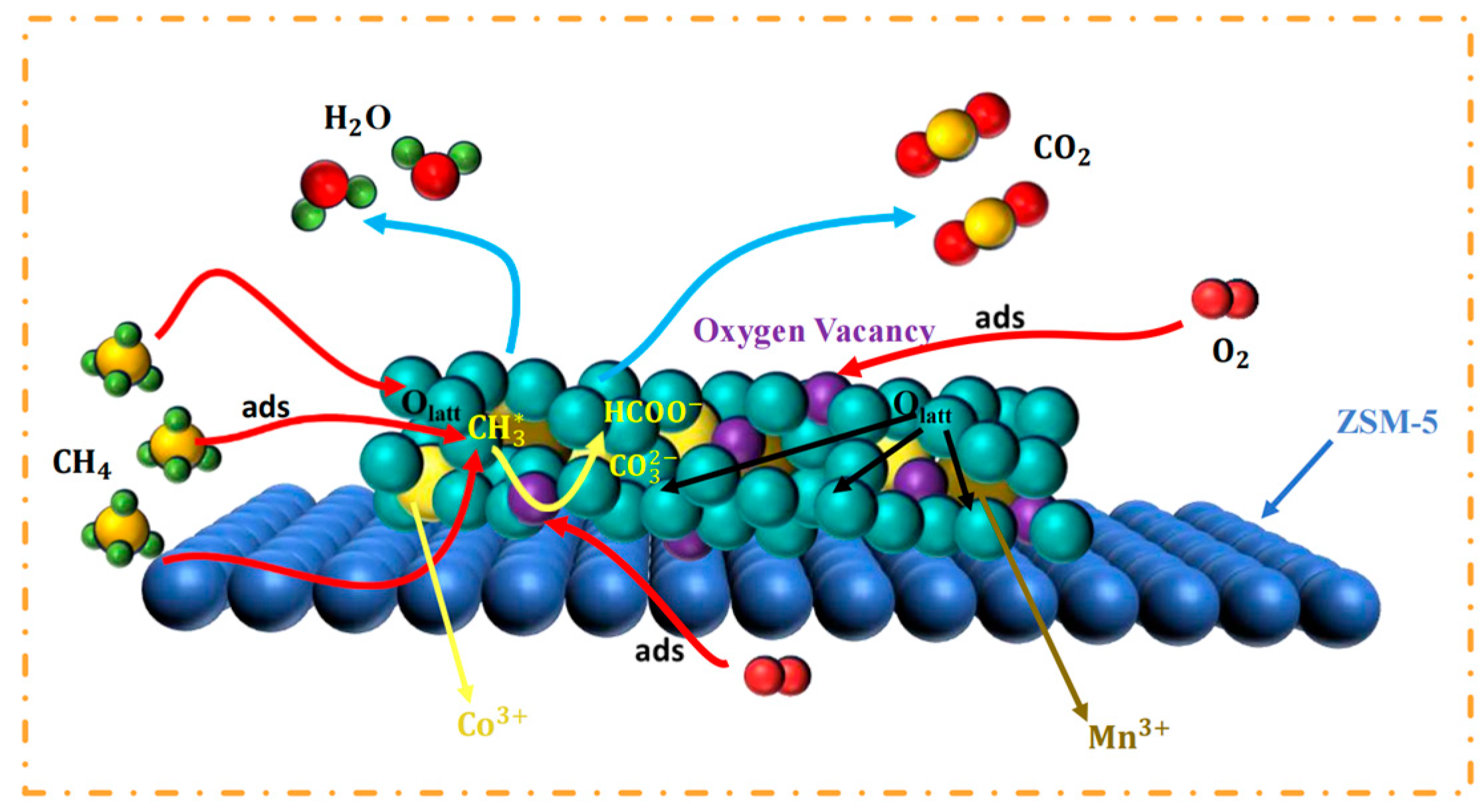 Catalysts 14 00397 sch002
