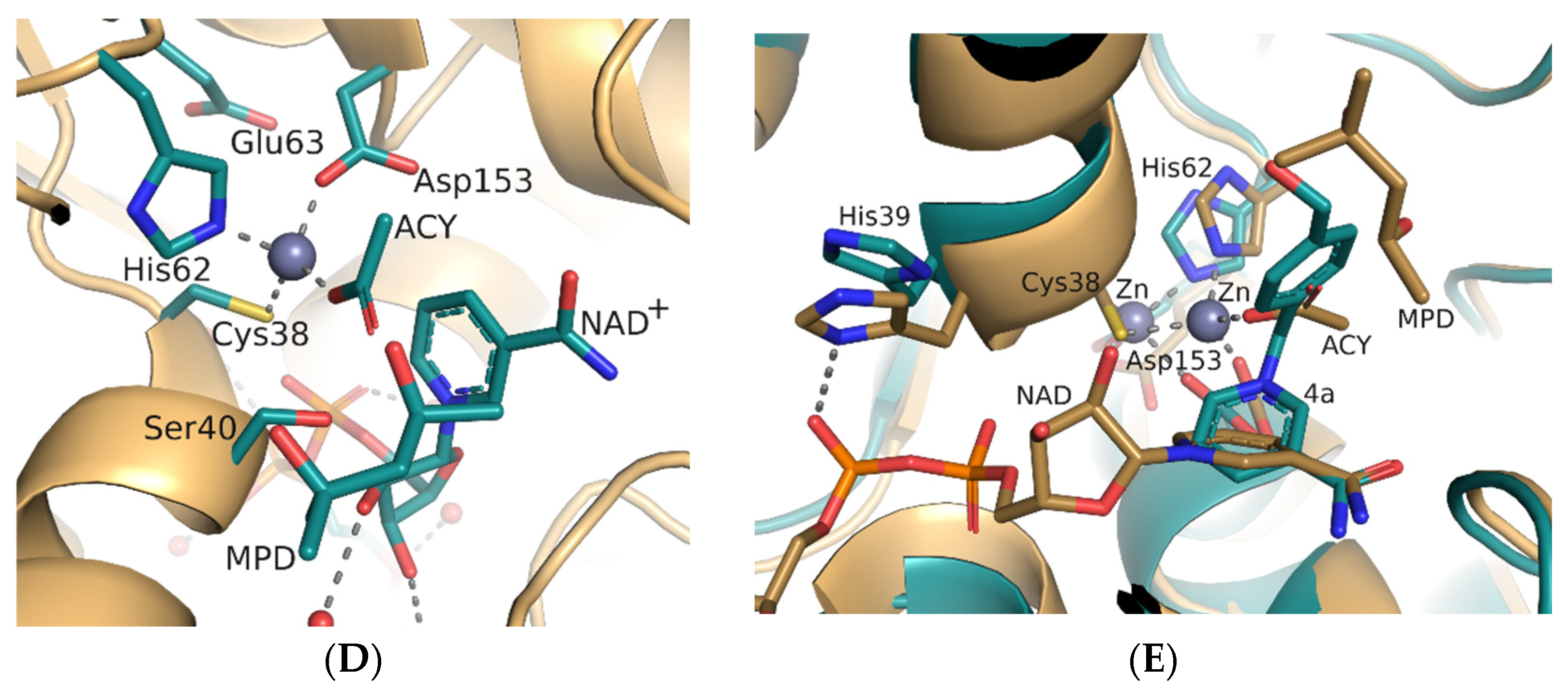 Catalysts 14 00399 g007b