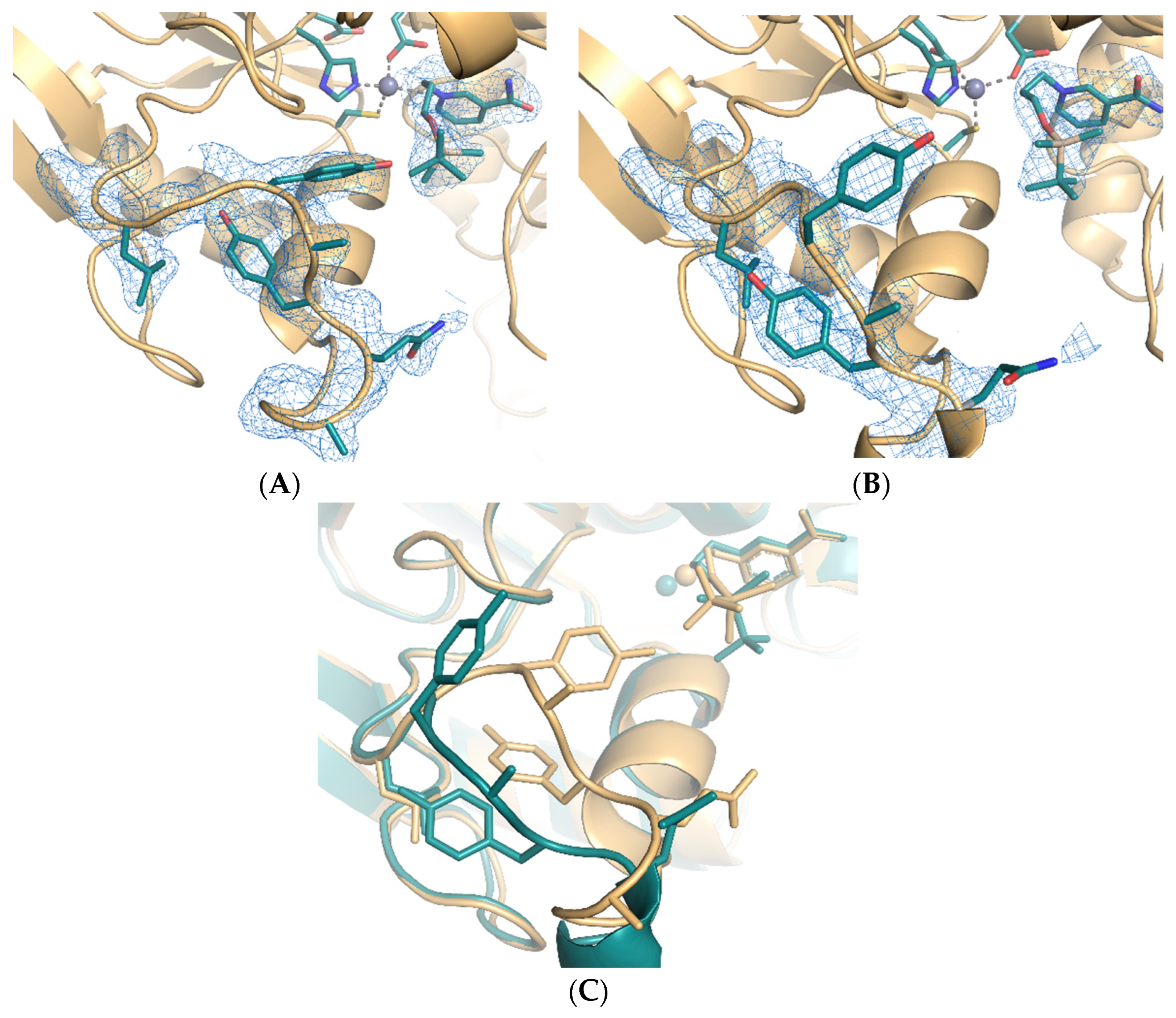 Catalysts 14 00399 g008