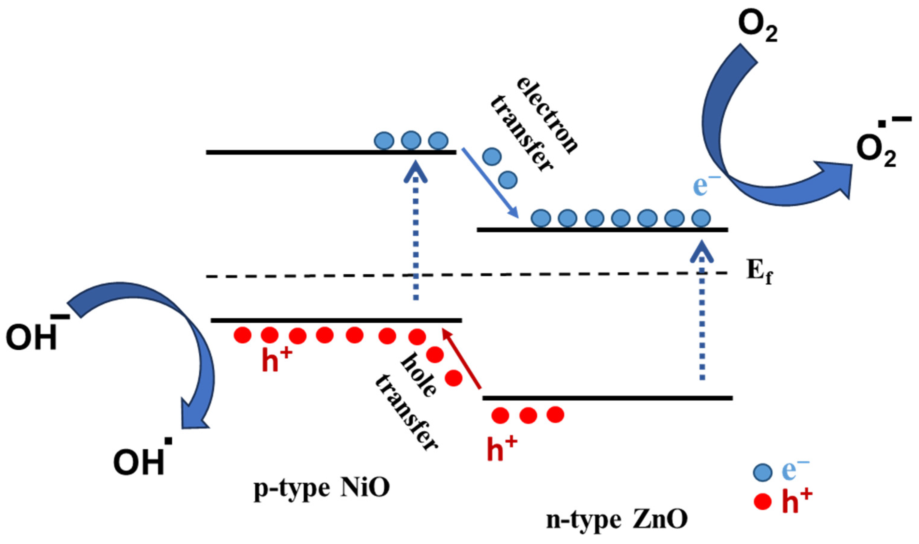 Catalysts 14 00403 g007