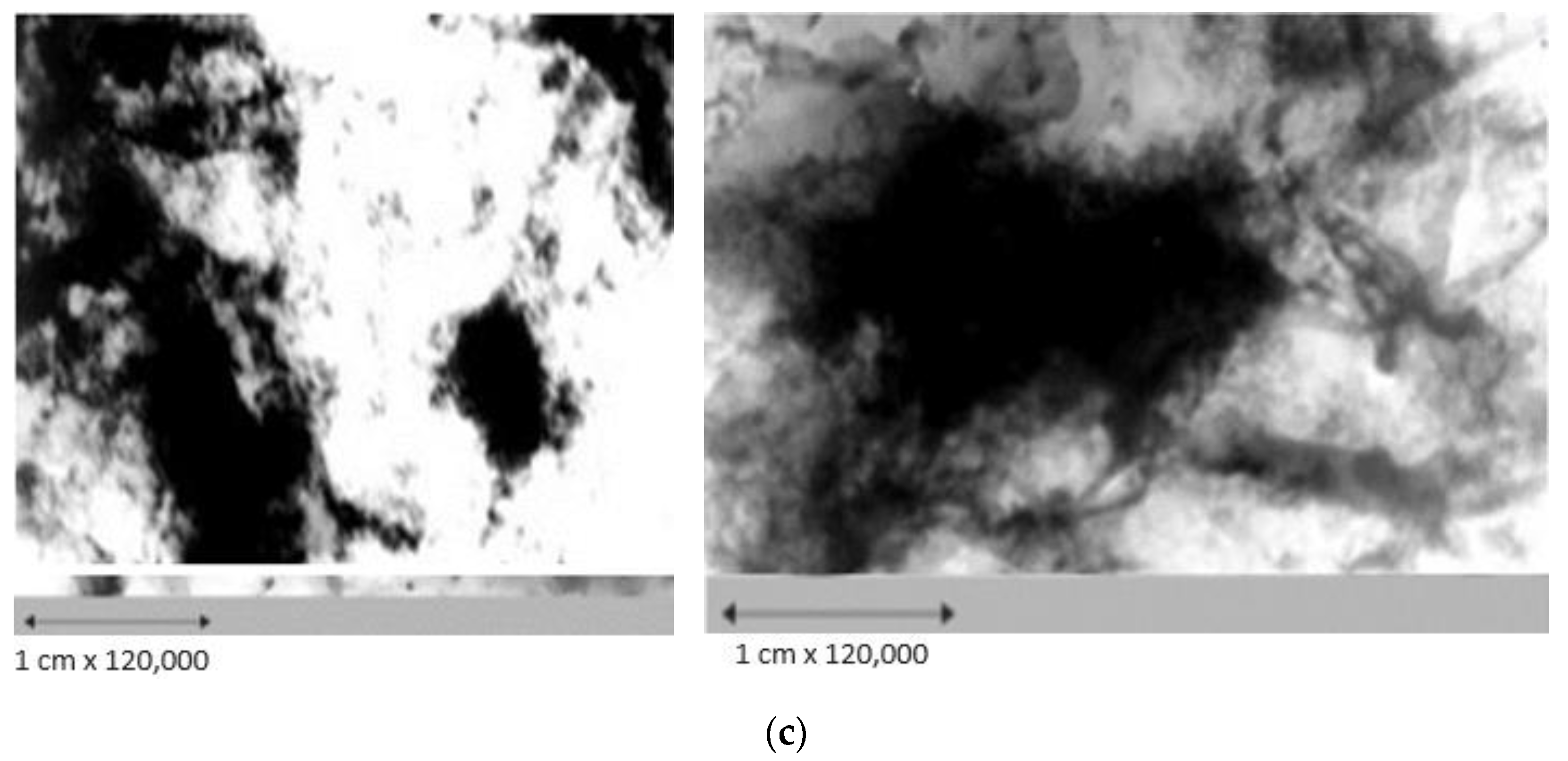 Catalysts 14 00404 g004b
