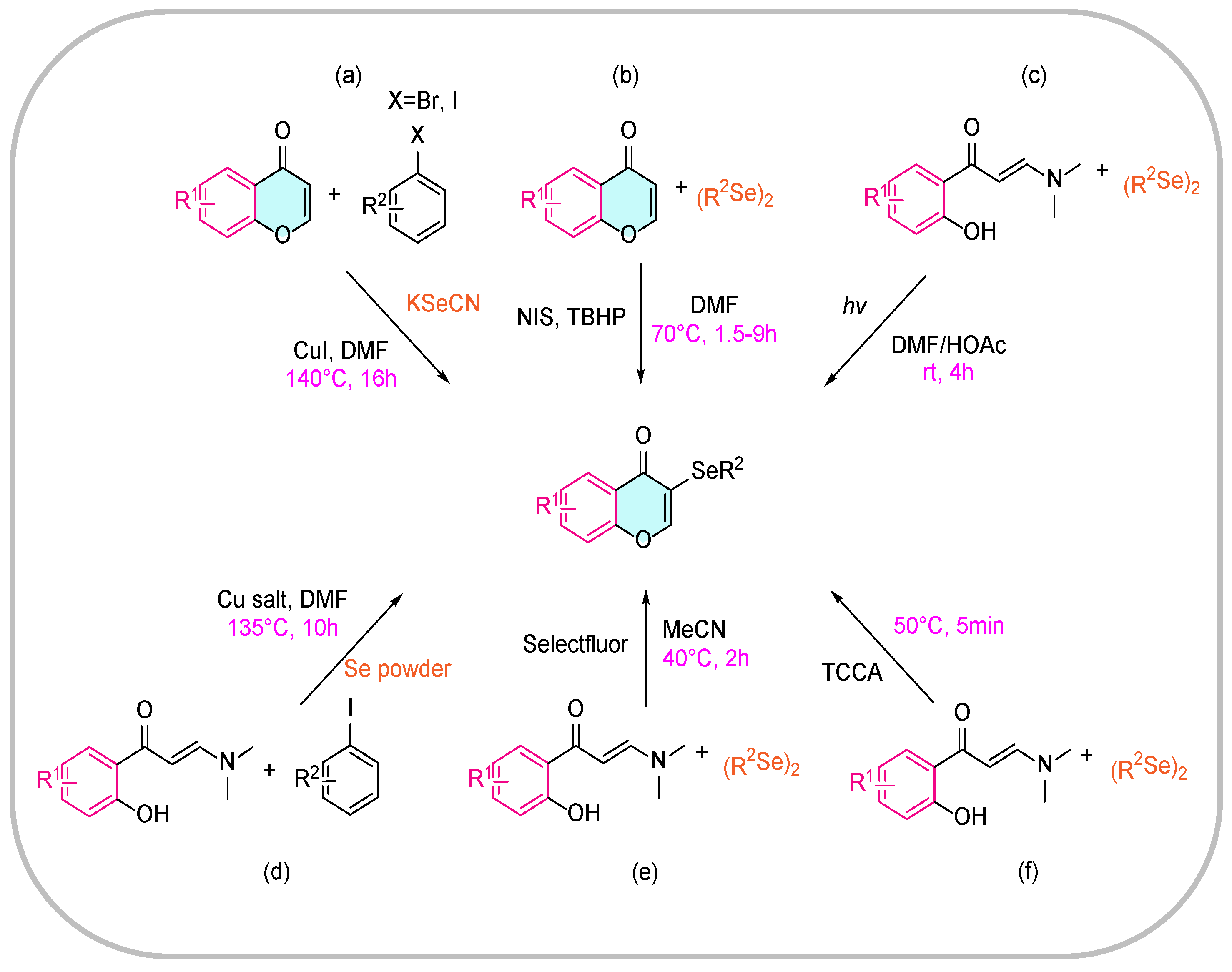 Catalysts 14 00413 sch001