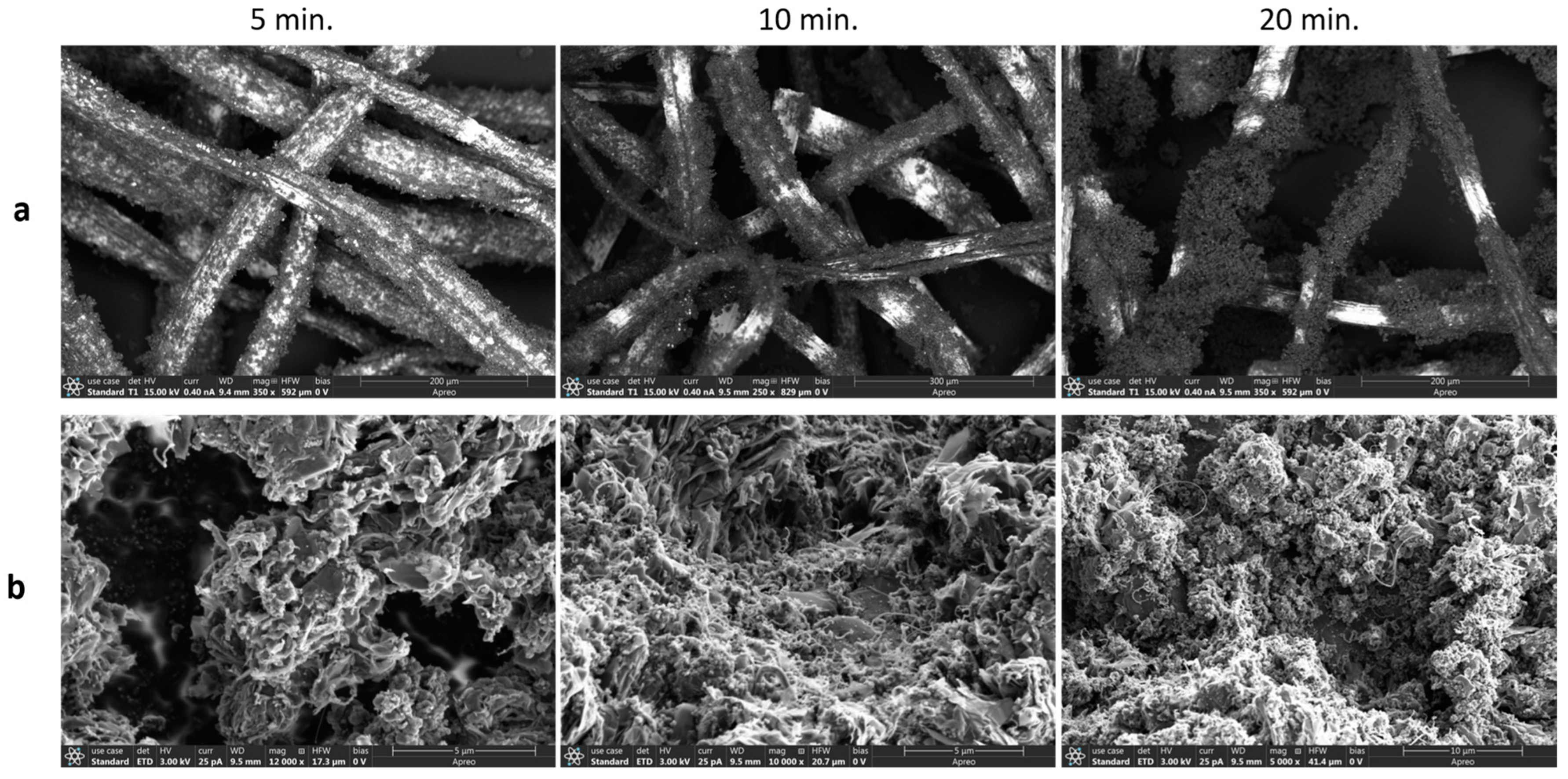 Catalysts 14 00414 g002
