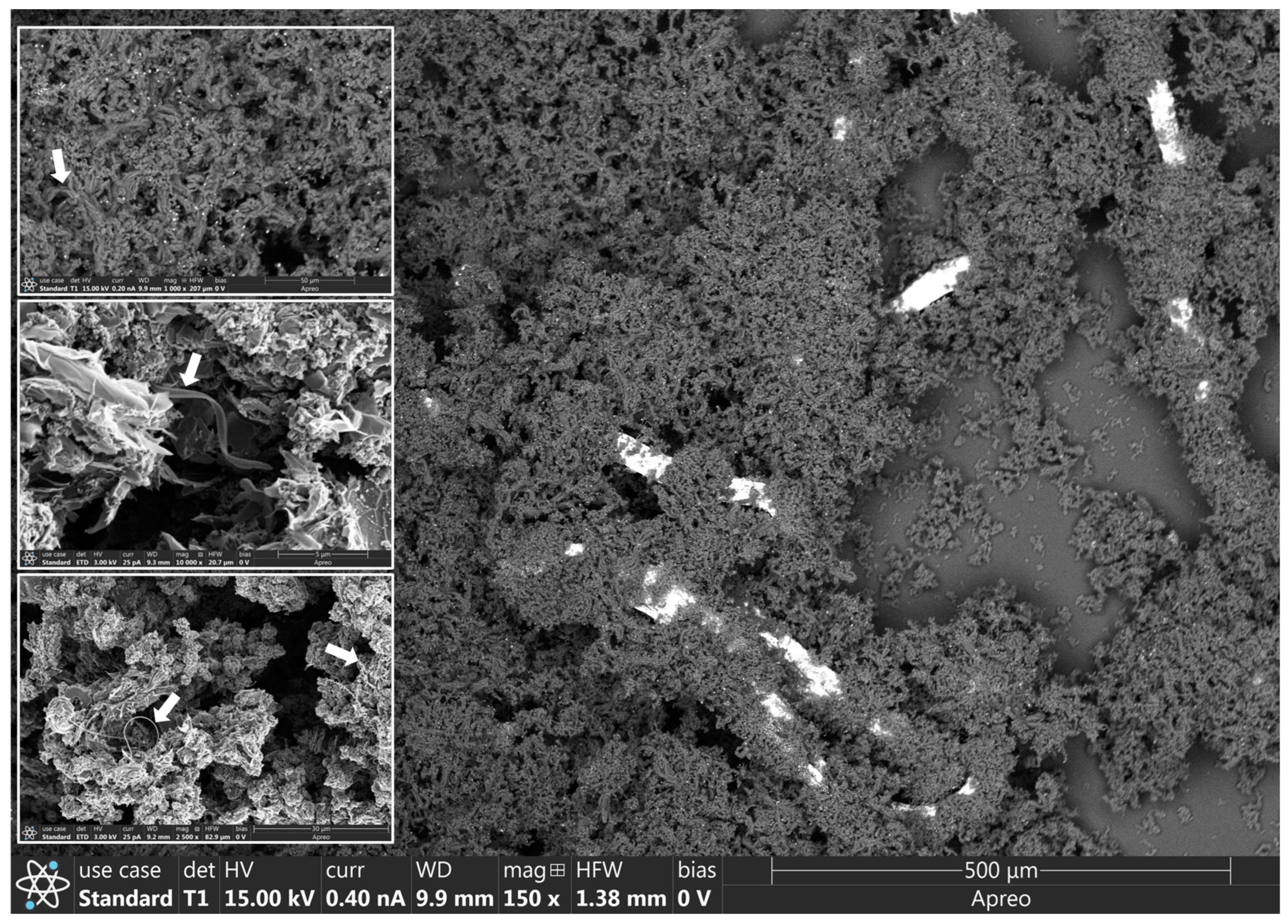 Catalysts 14 00414 g003