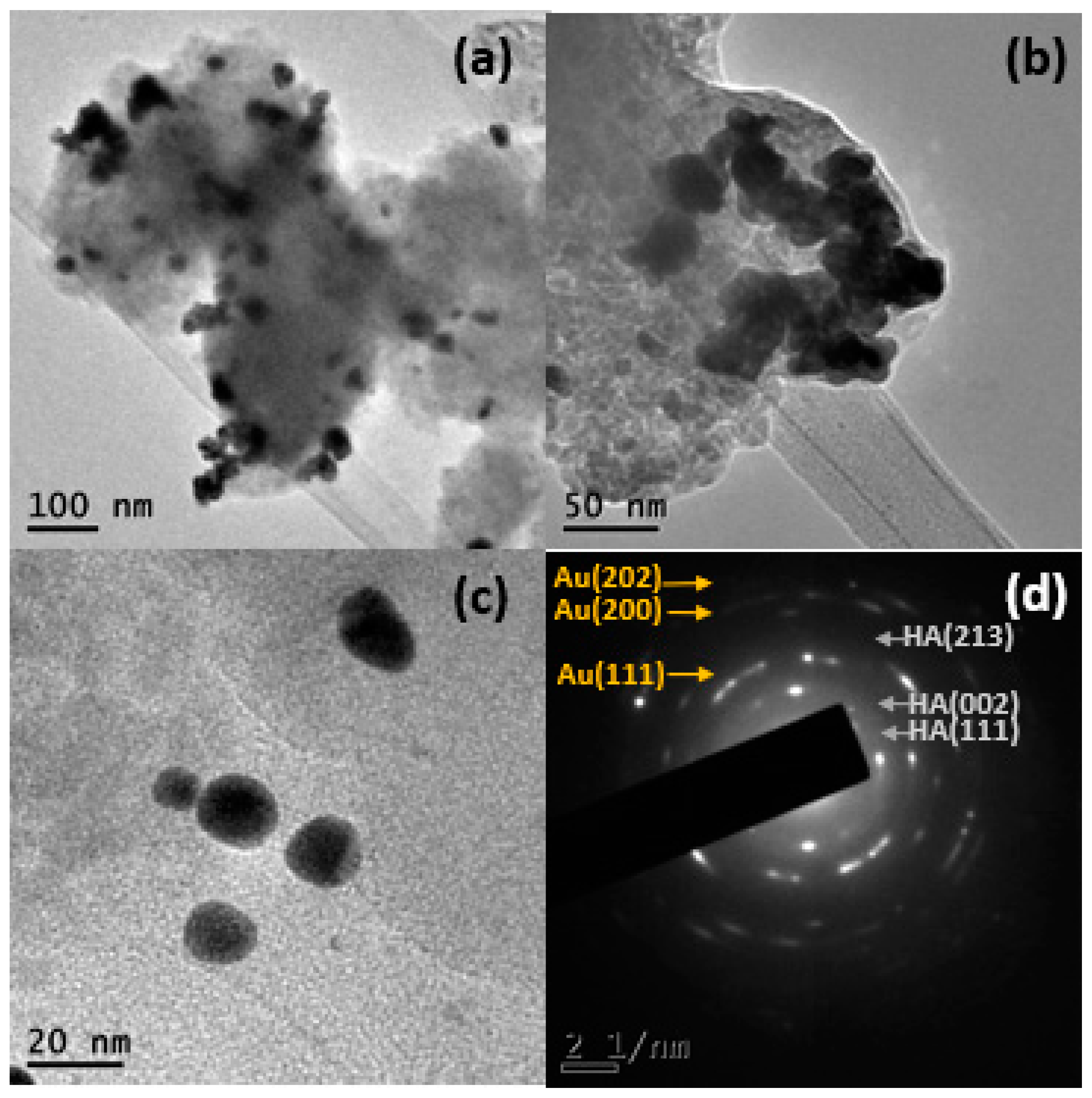 Catalysts 14 00417 g005