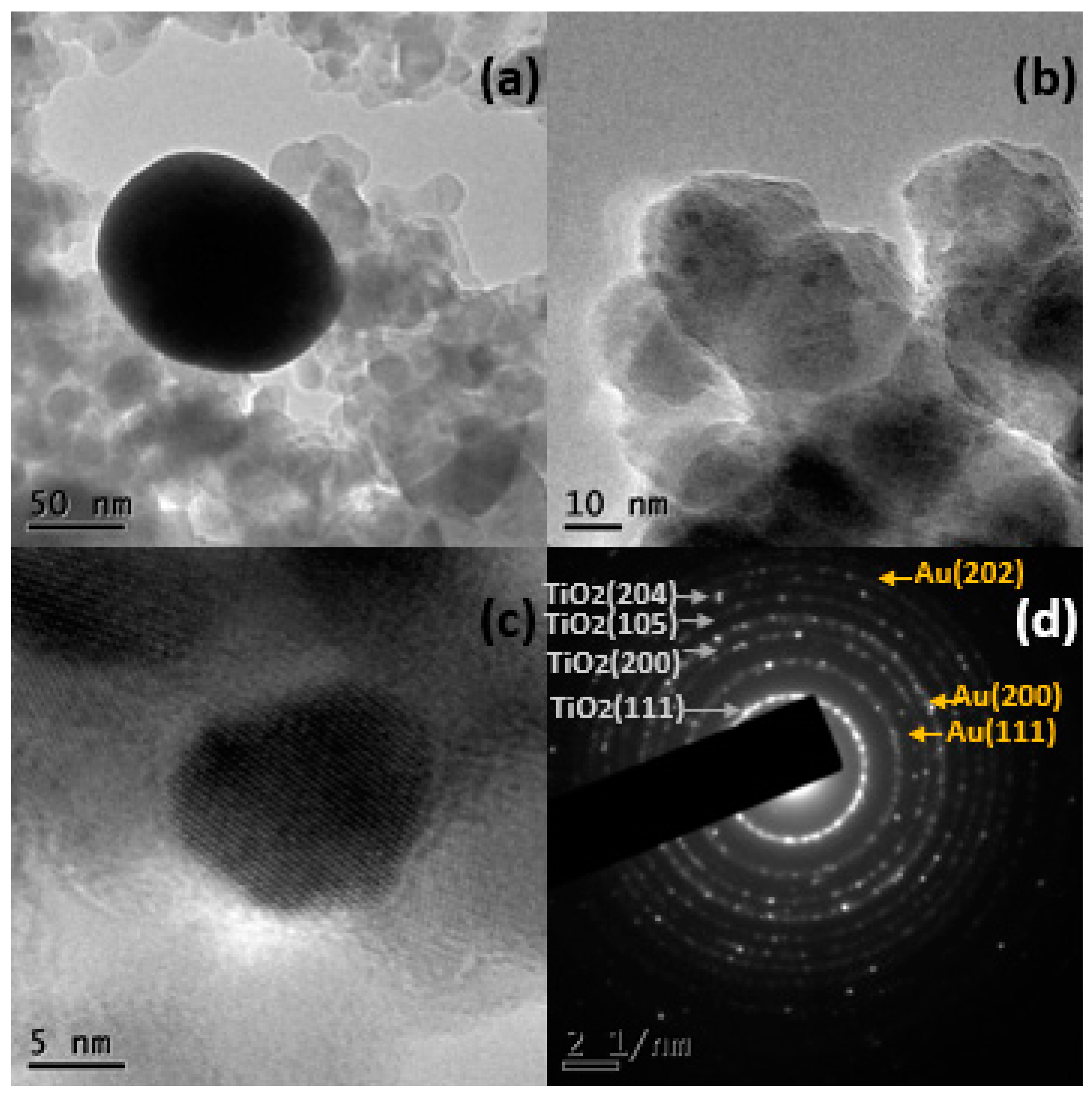 Catalysts 14 00417 g007