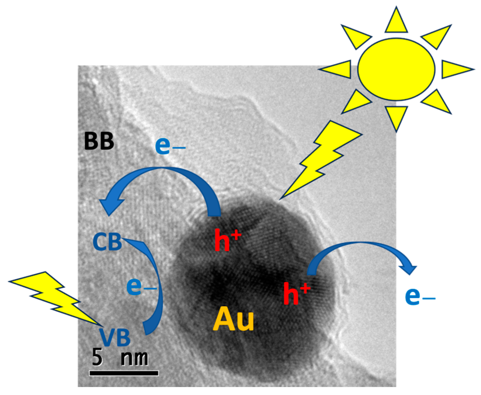 Catalysts 14 00417 g010