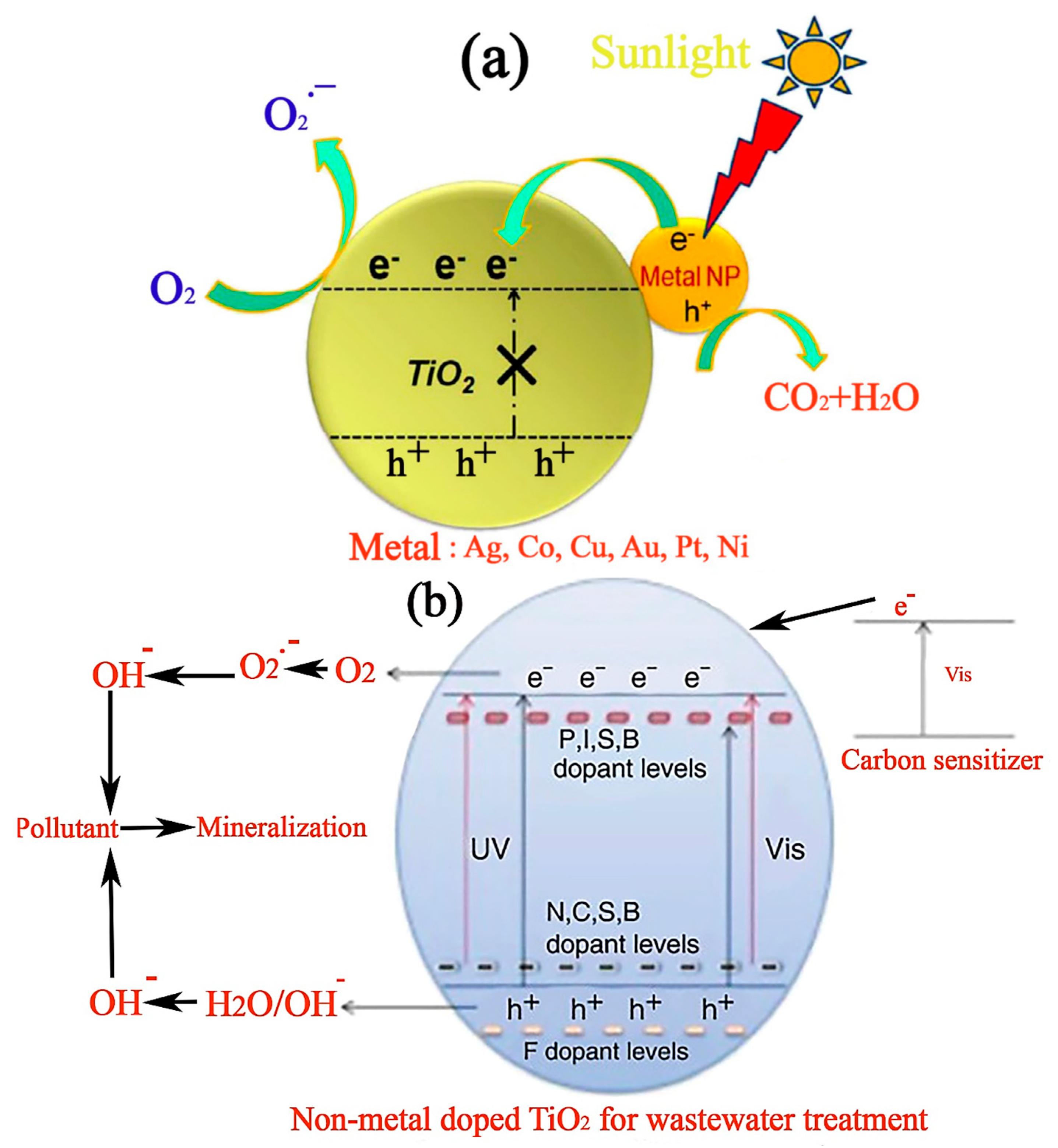 Catalysts 14 00420 g006