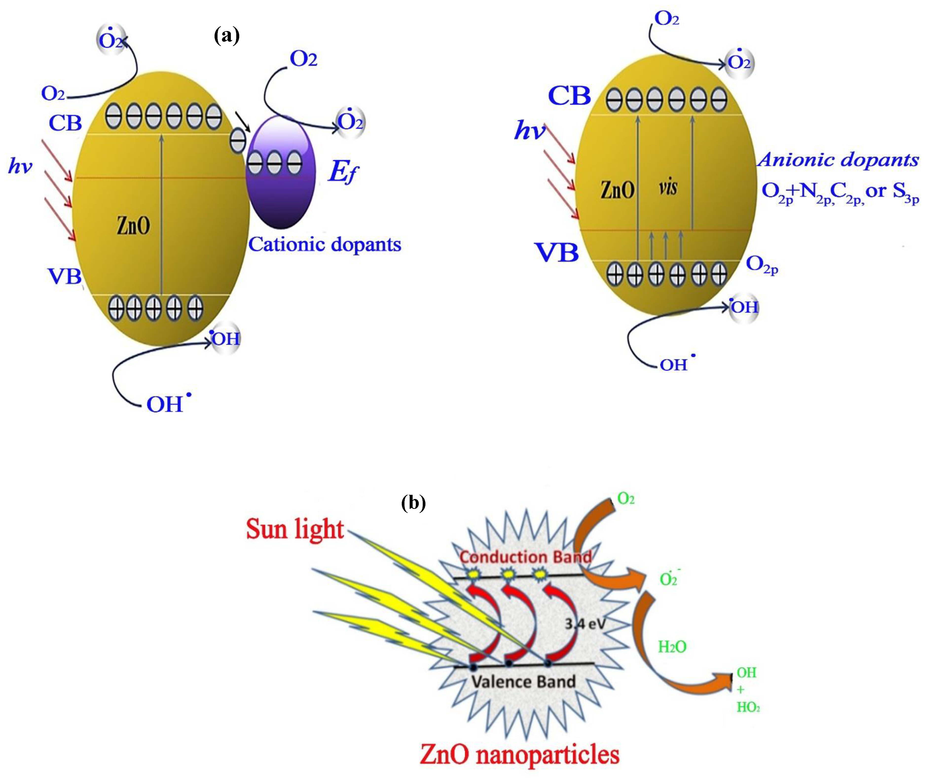 Catalysts 14 00420 g008