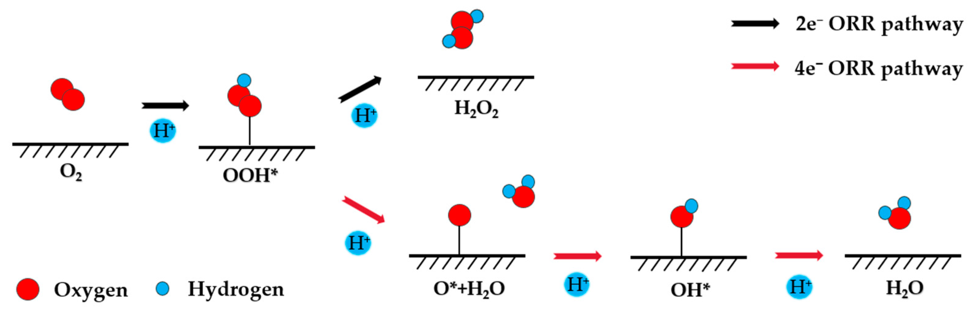 Catalysts 14 00421 g002