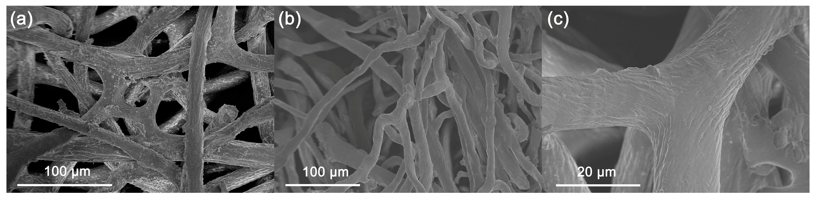 Catalysts 14 00424 g001