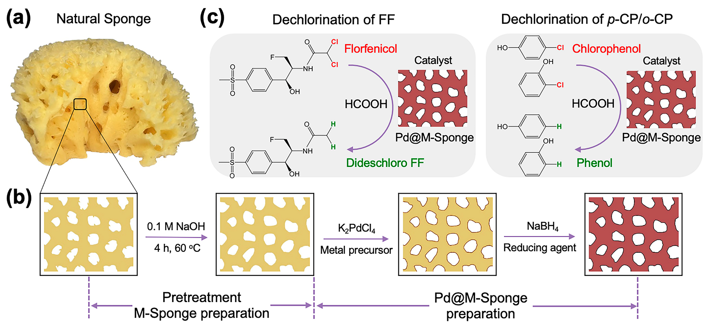 Catalysts 14 00424 sch001