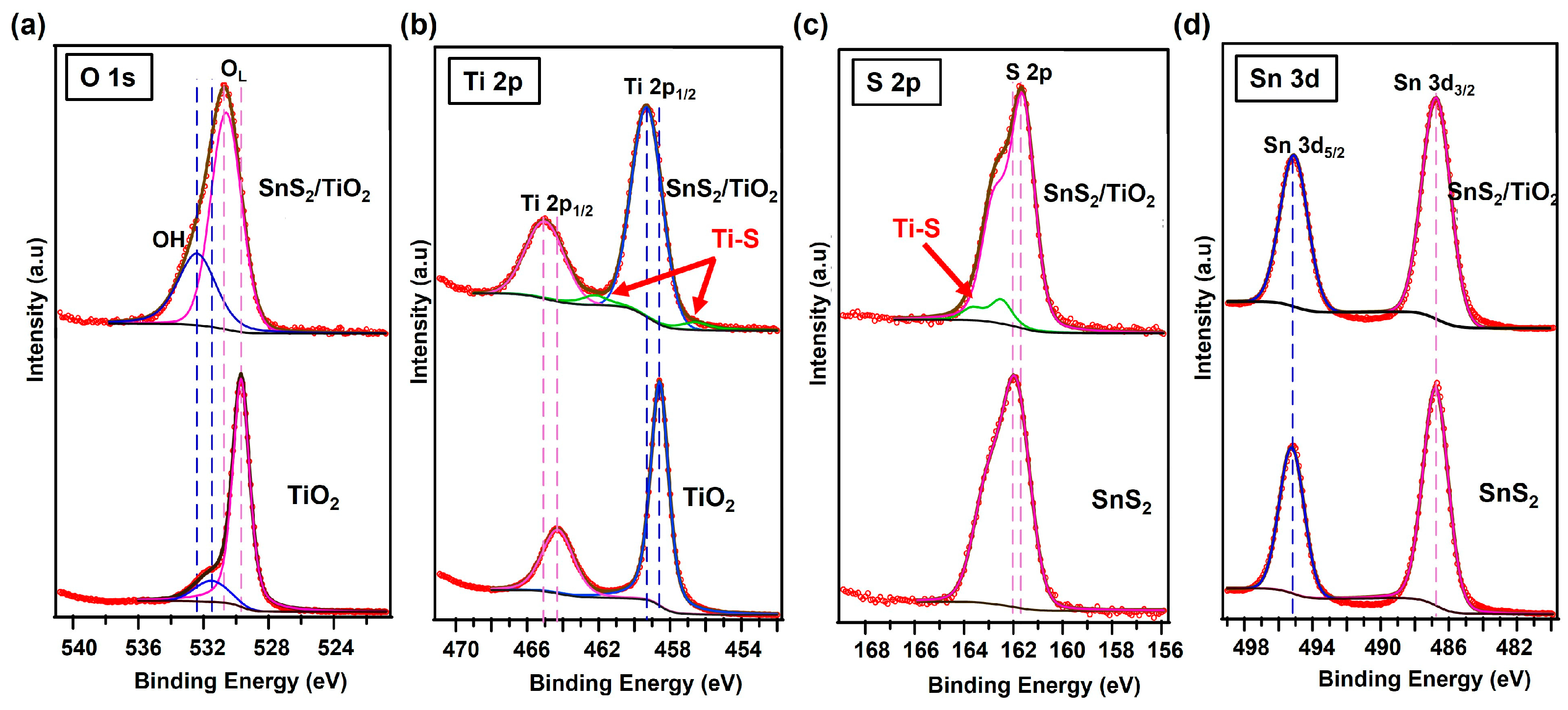 Catalysts 14 00442 g007