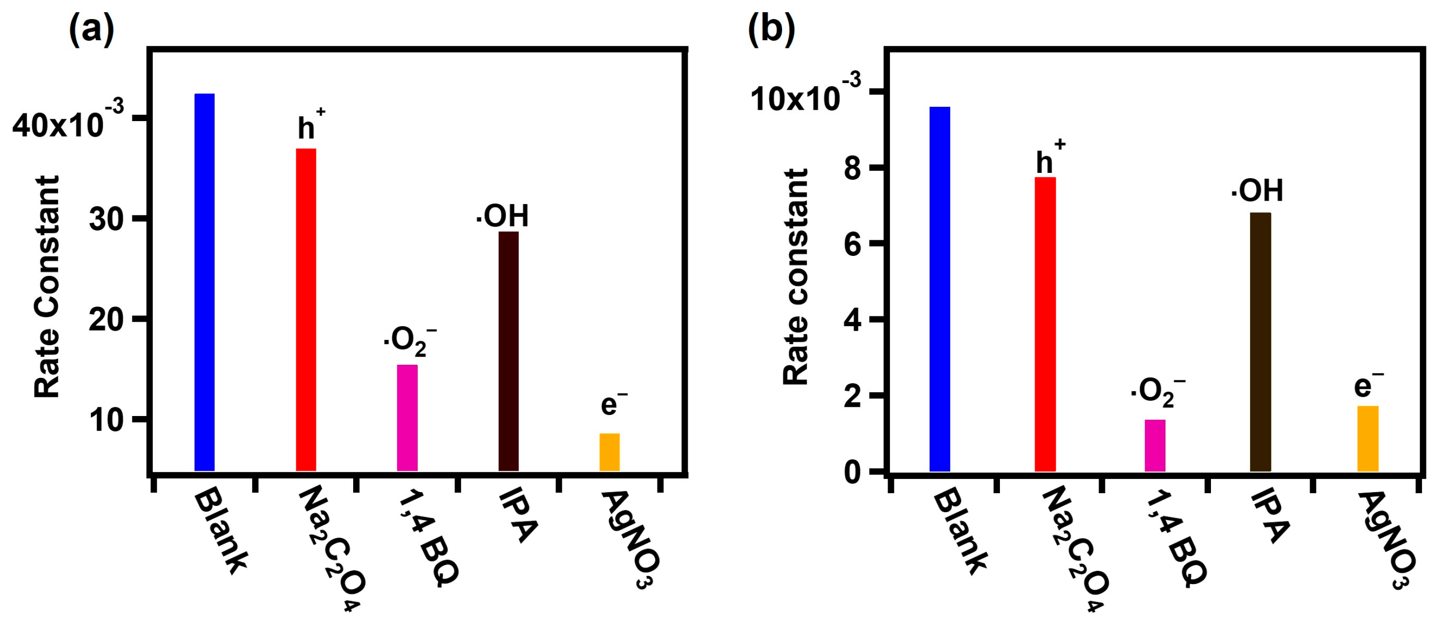 Catalysts 14 00442 g009