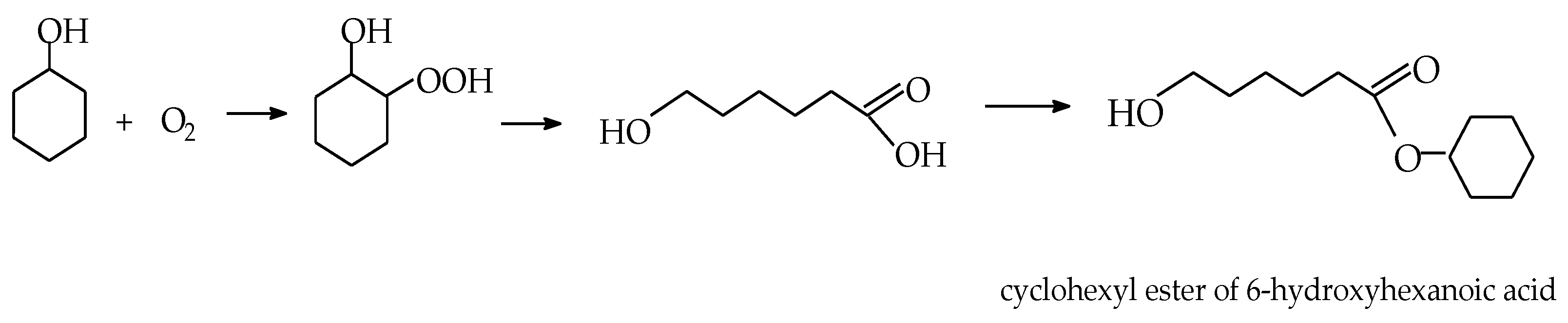 Catalysts 14 00445 sch002