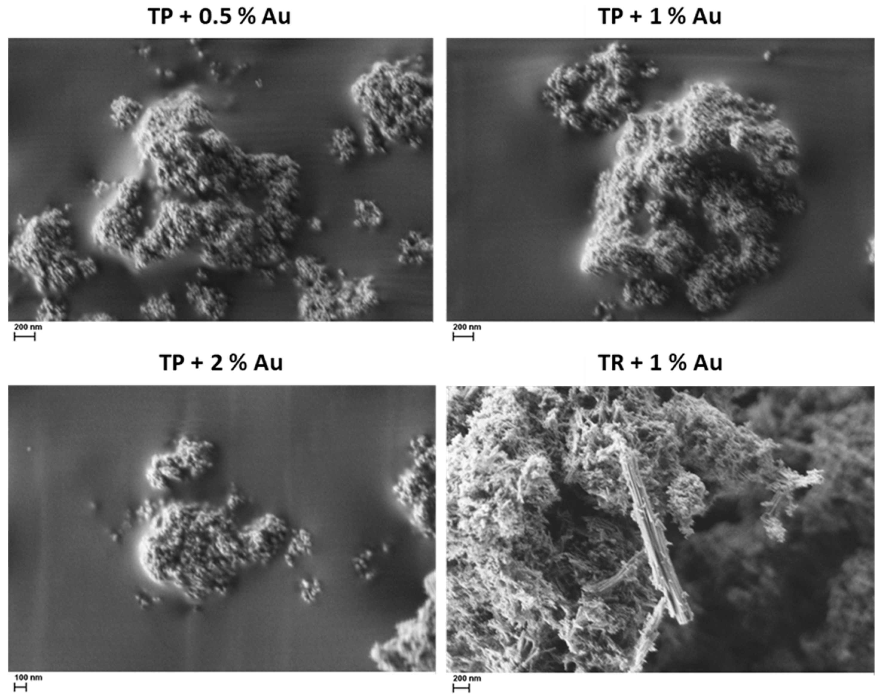 Catalysts 14 00448 g002